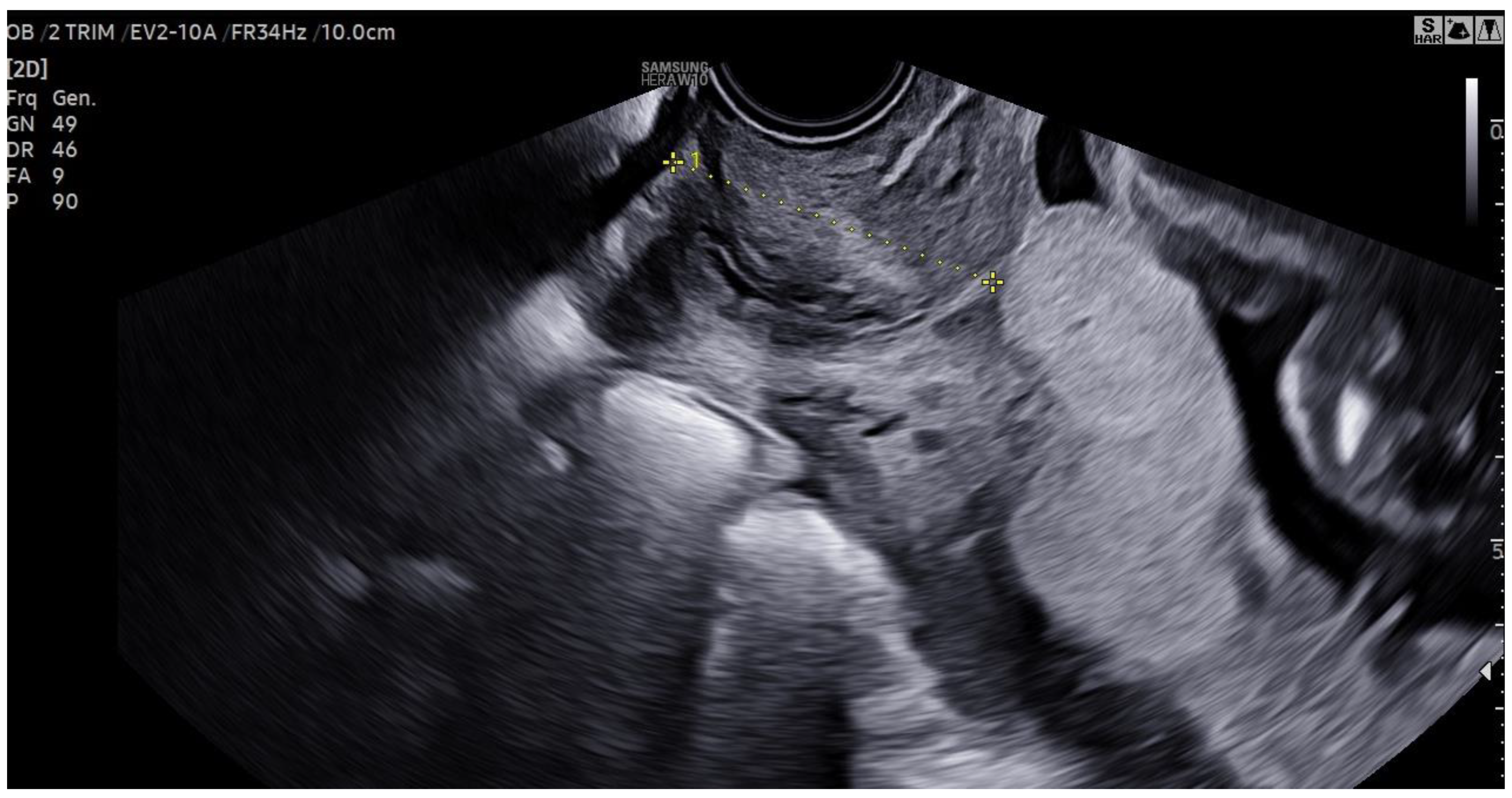 Preprints 173913 g001