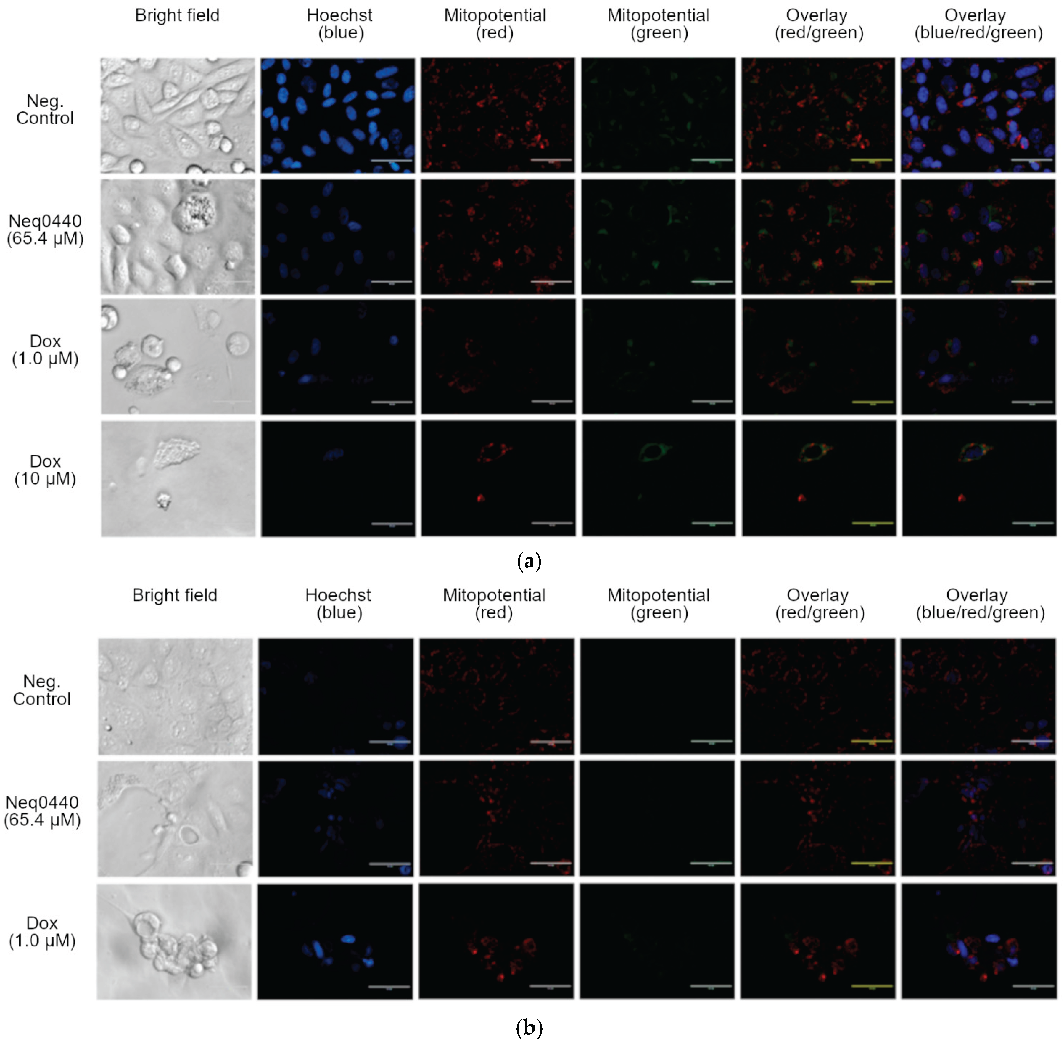 Preprints 181826 g002