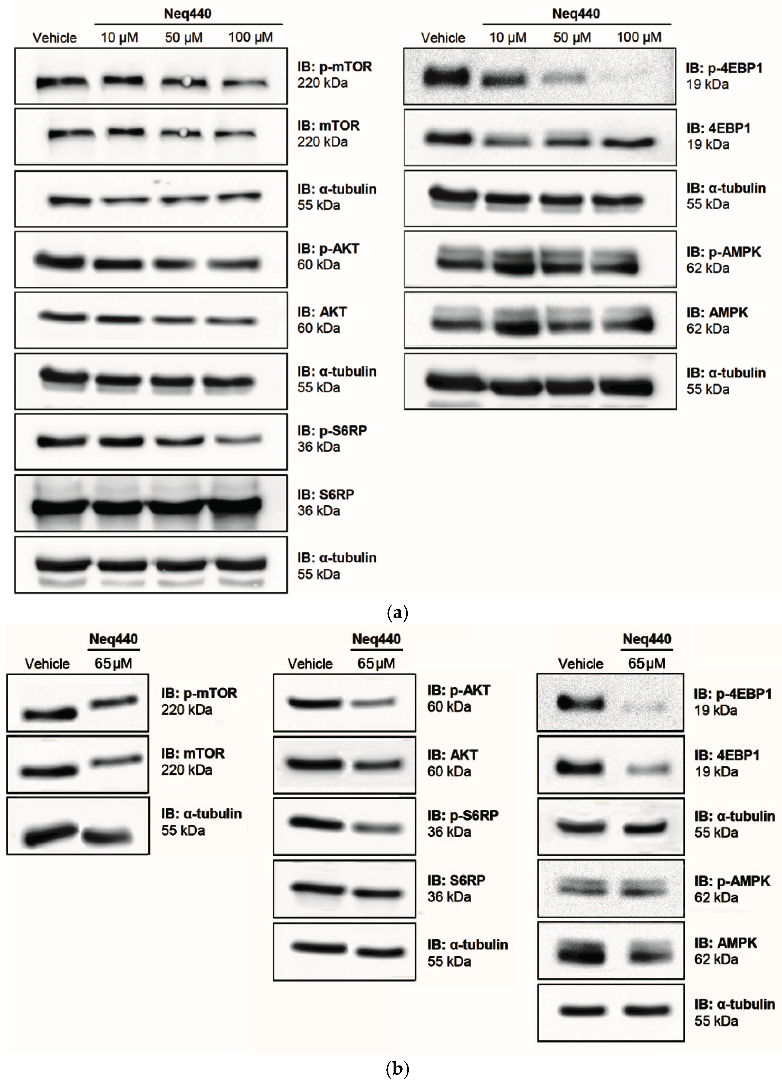 Preprints 181826 g003