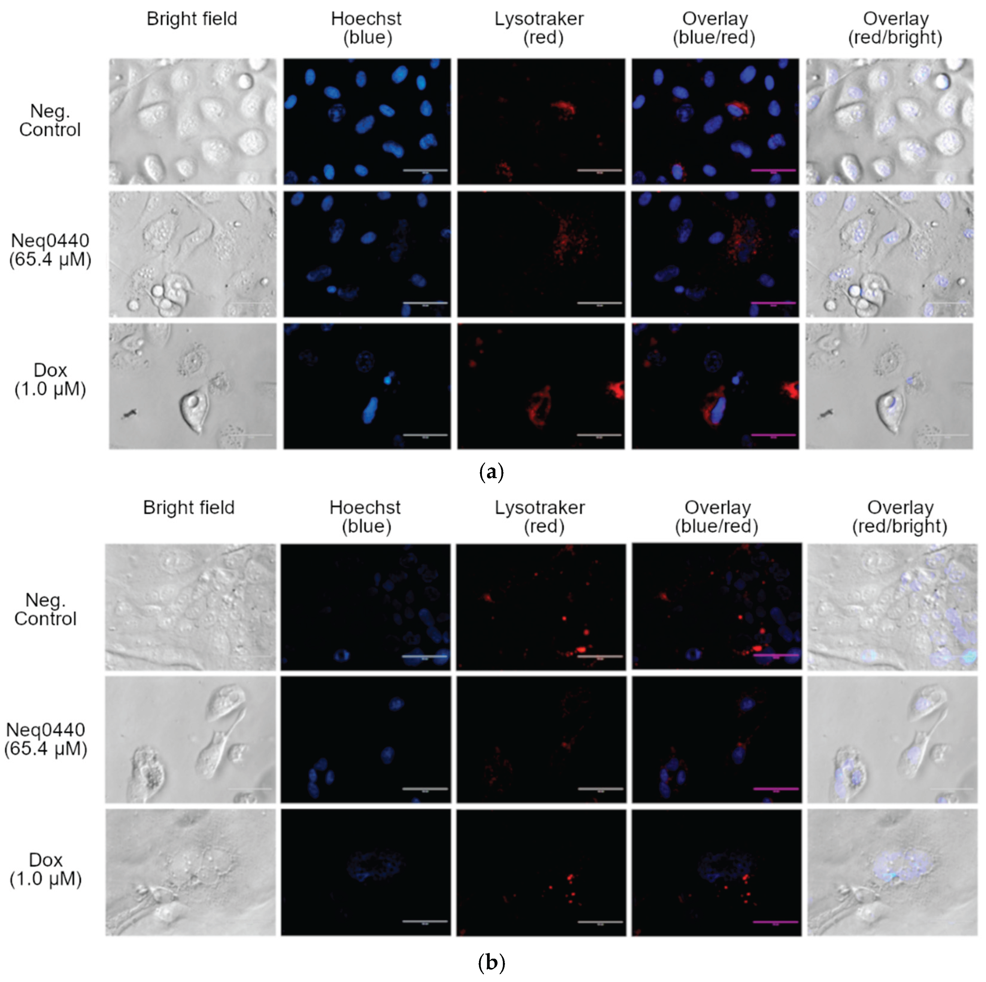 Preprints 181826 g005