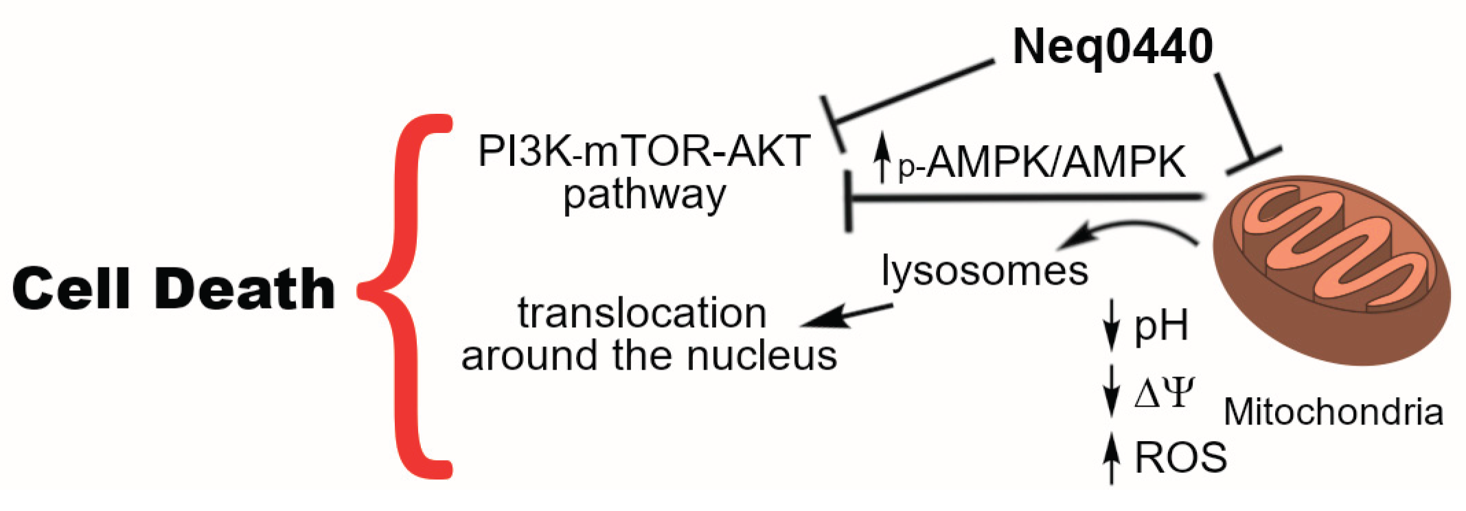 Preprints 181826 g006