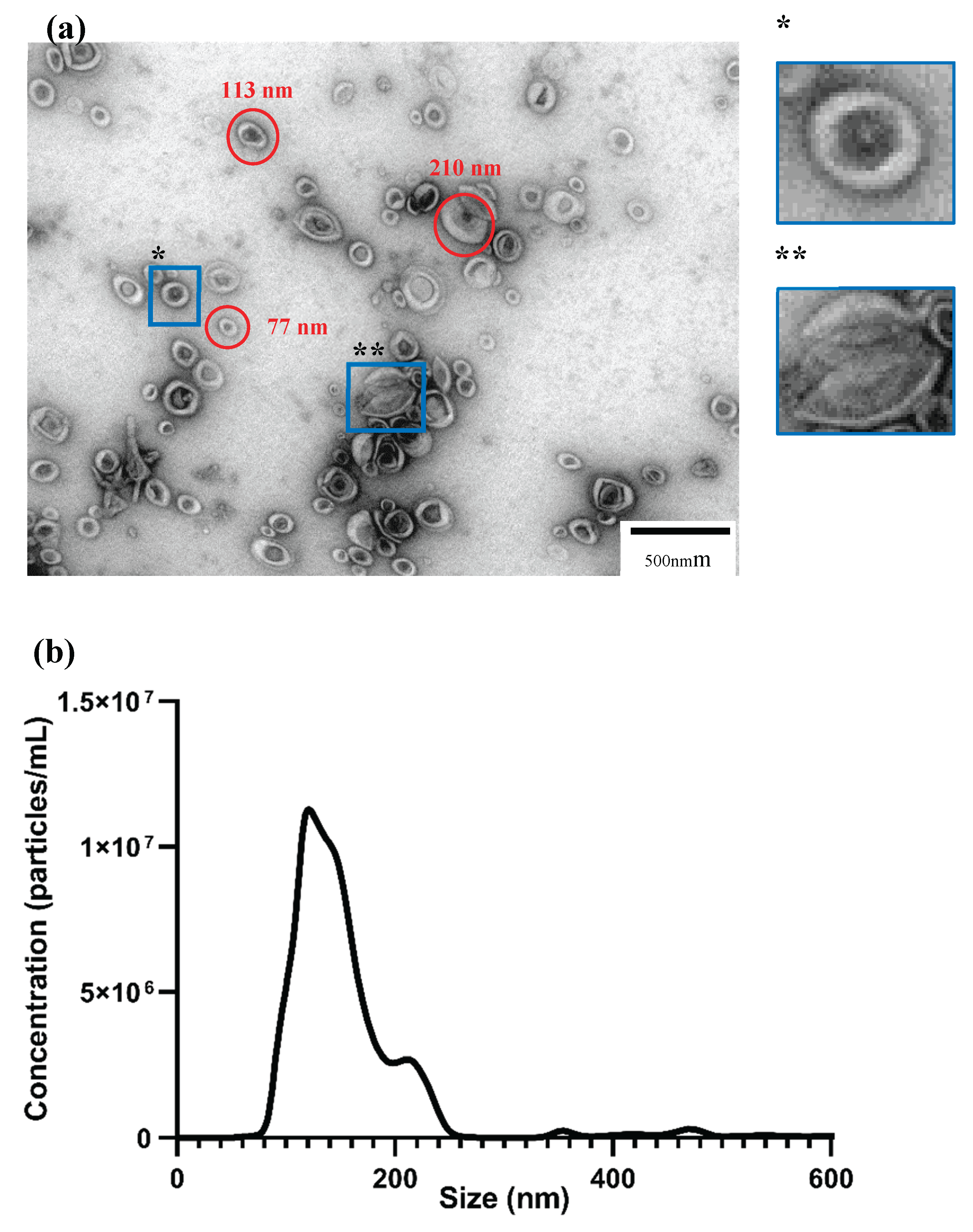 Preprints 173813 g002