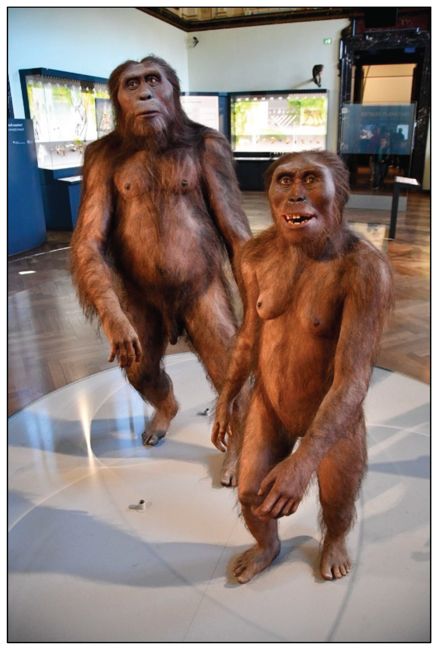 Preprints 163465 g003