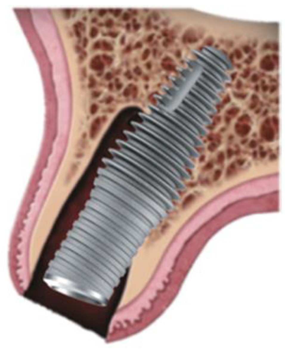 Preprints 86078 g001