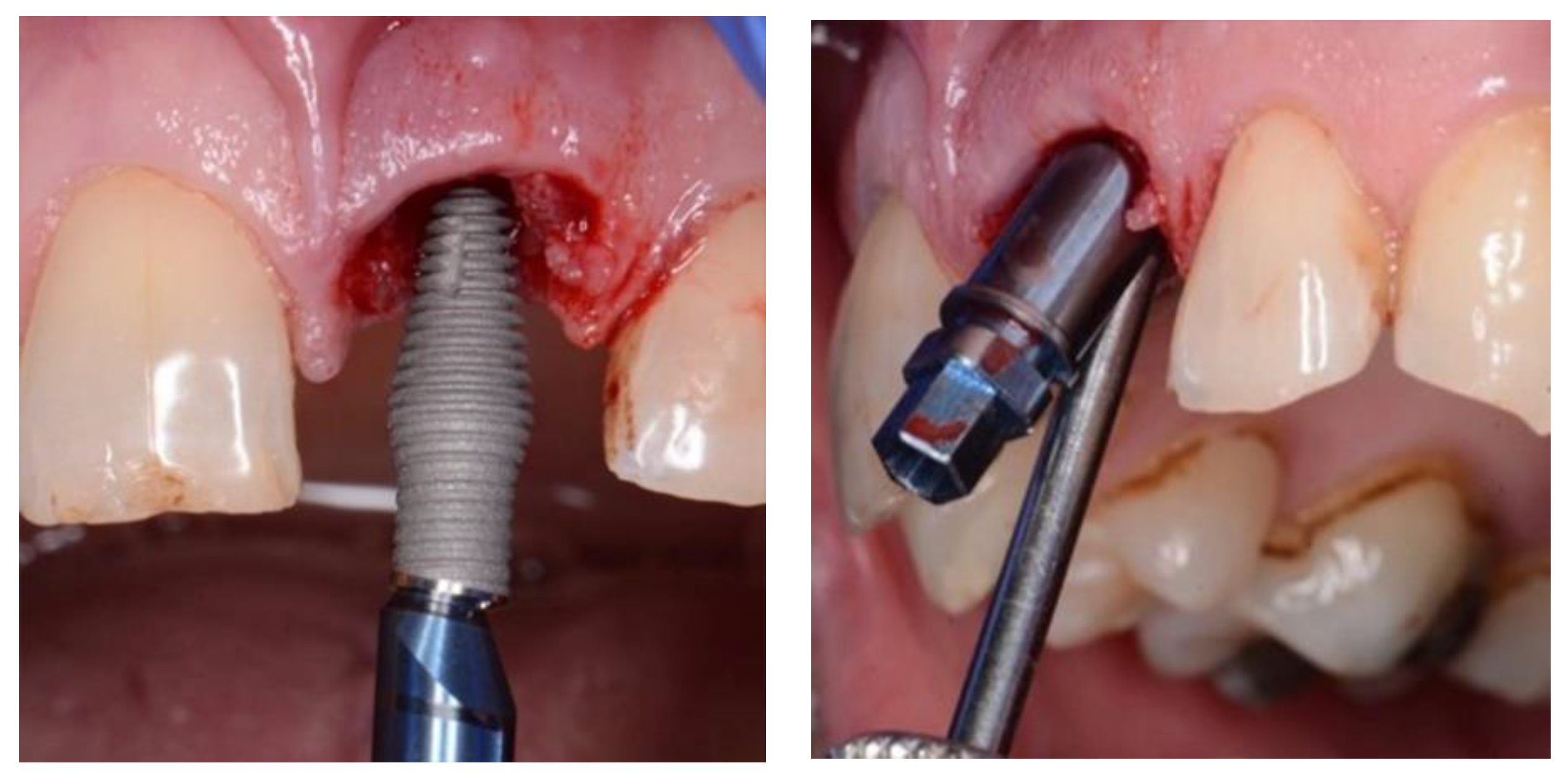 Preprints 86078 g003