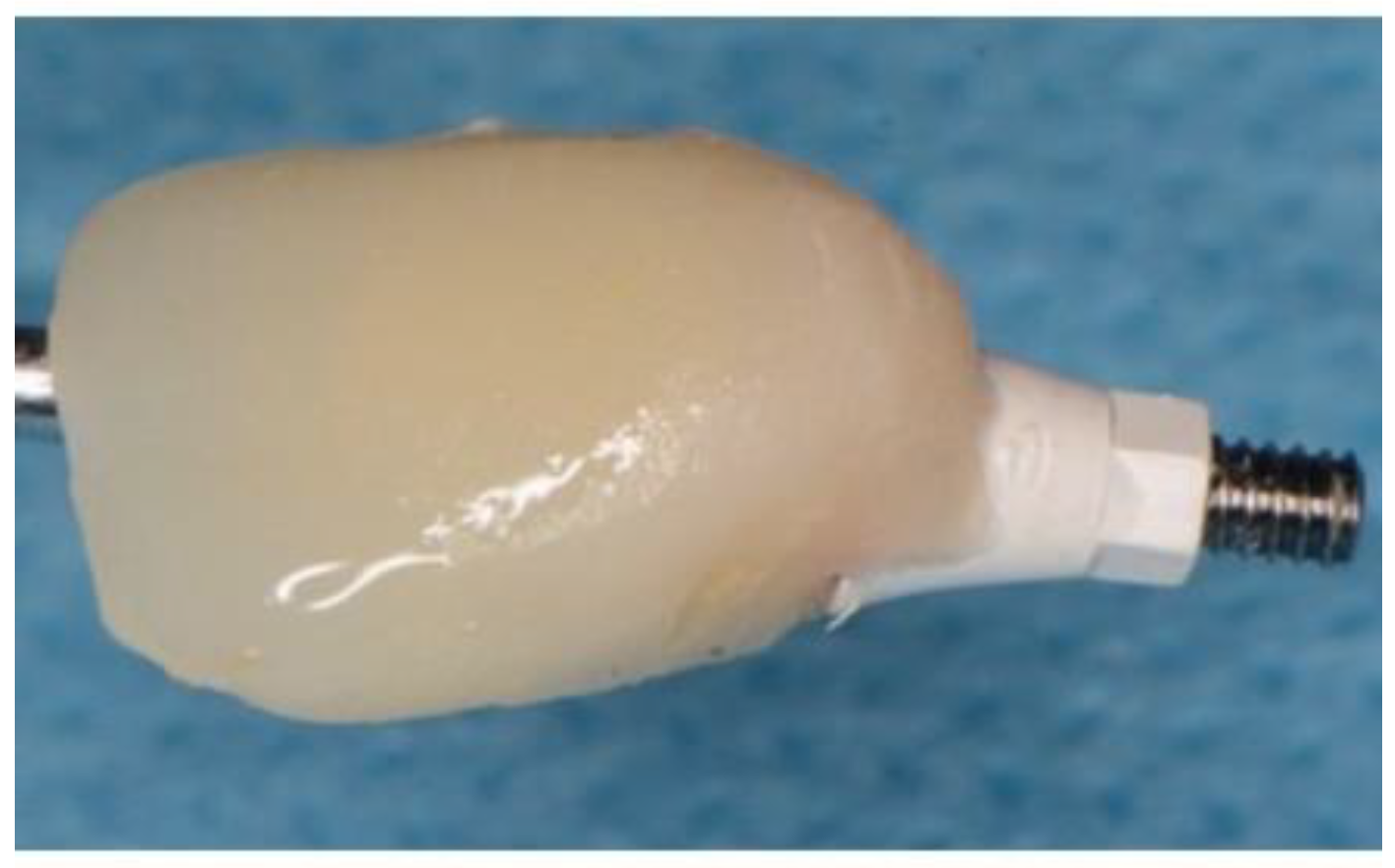 Preprints 86078 g005