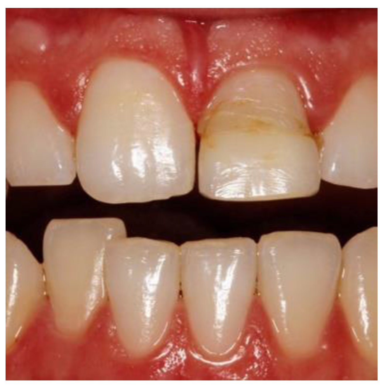 Preprints 86078 g007