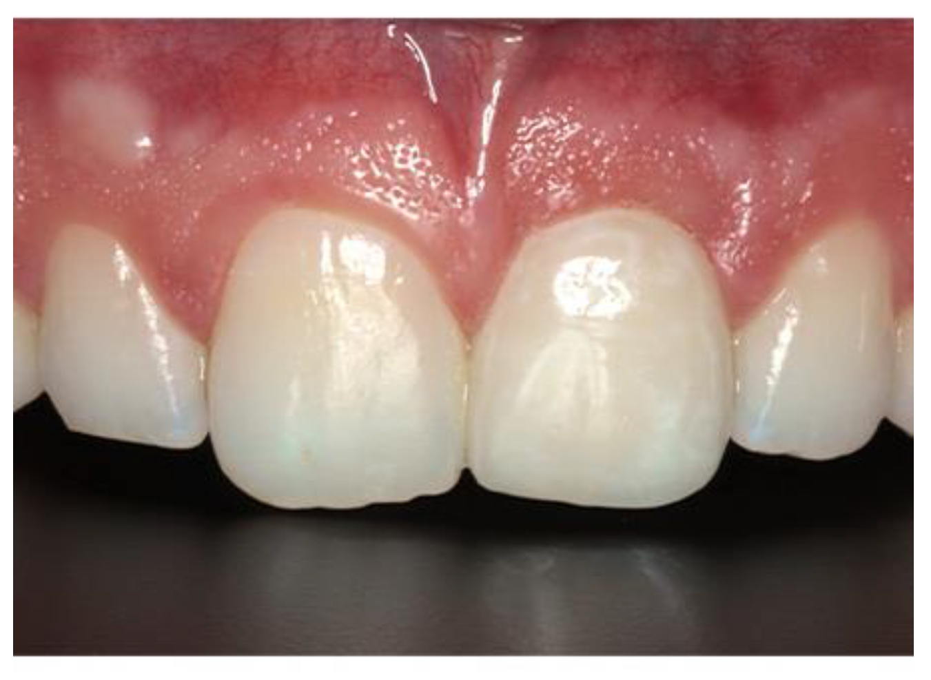 Preprints 86078 g008