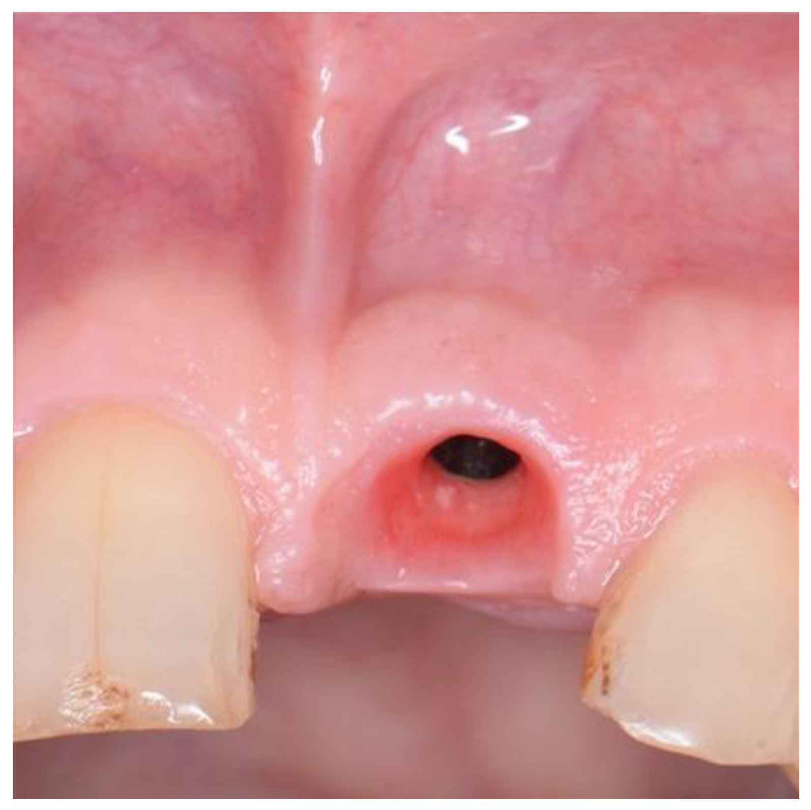 Preprints 86078 g012