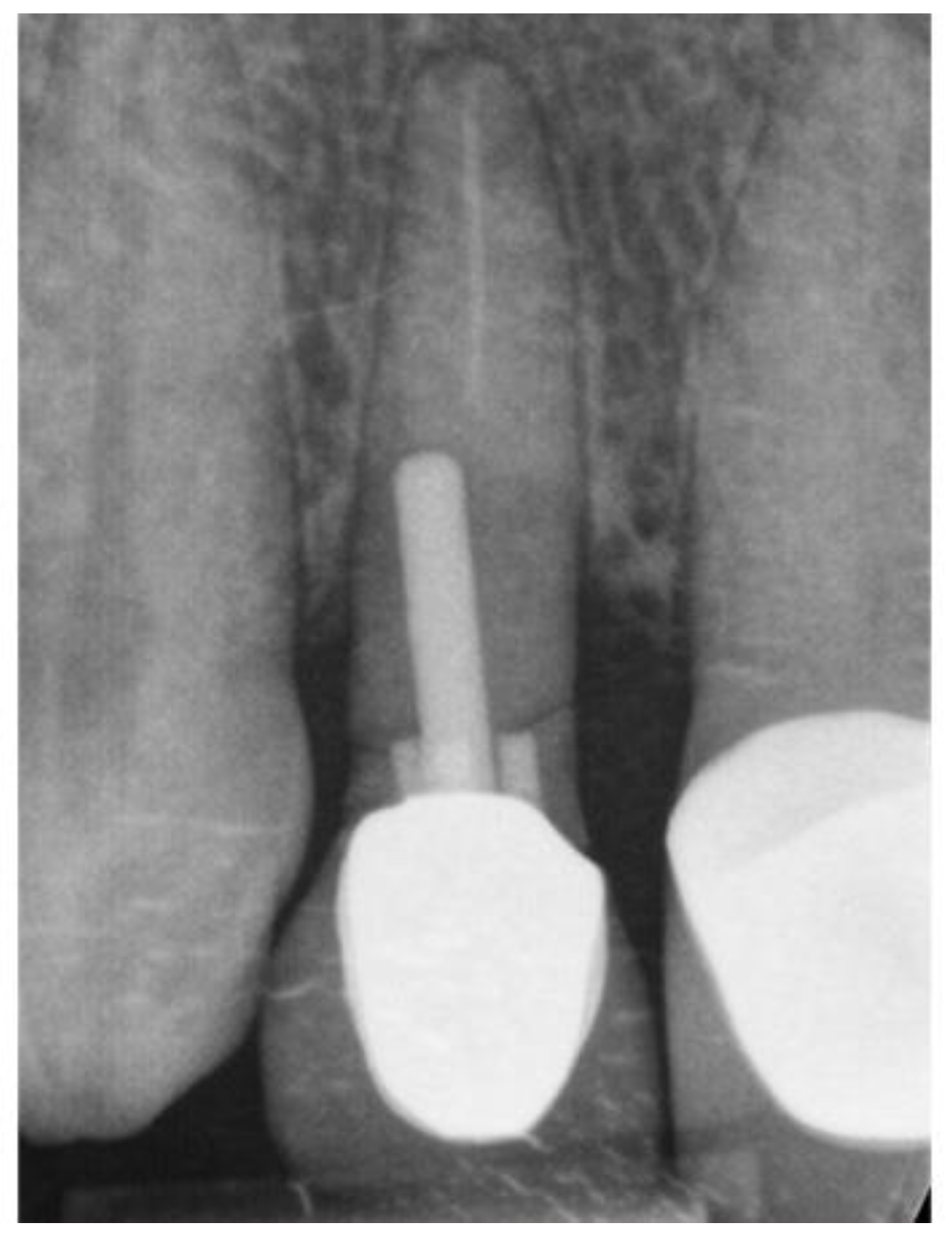 Preprints 86078 g015