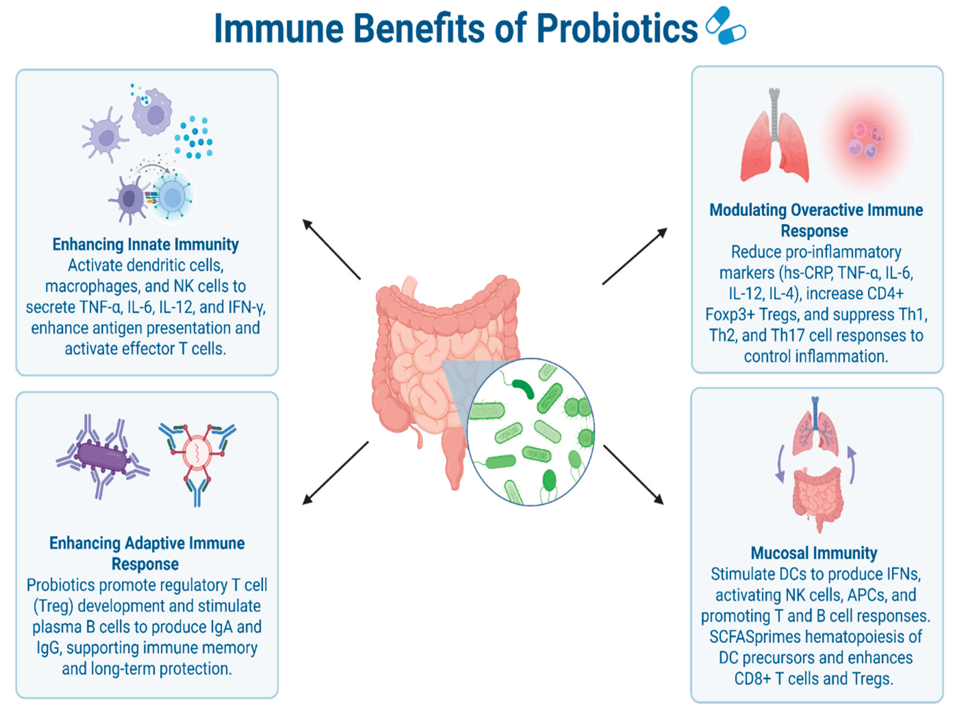 Preprints 169089 g001