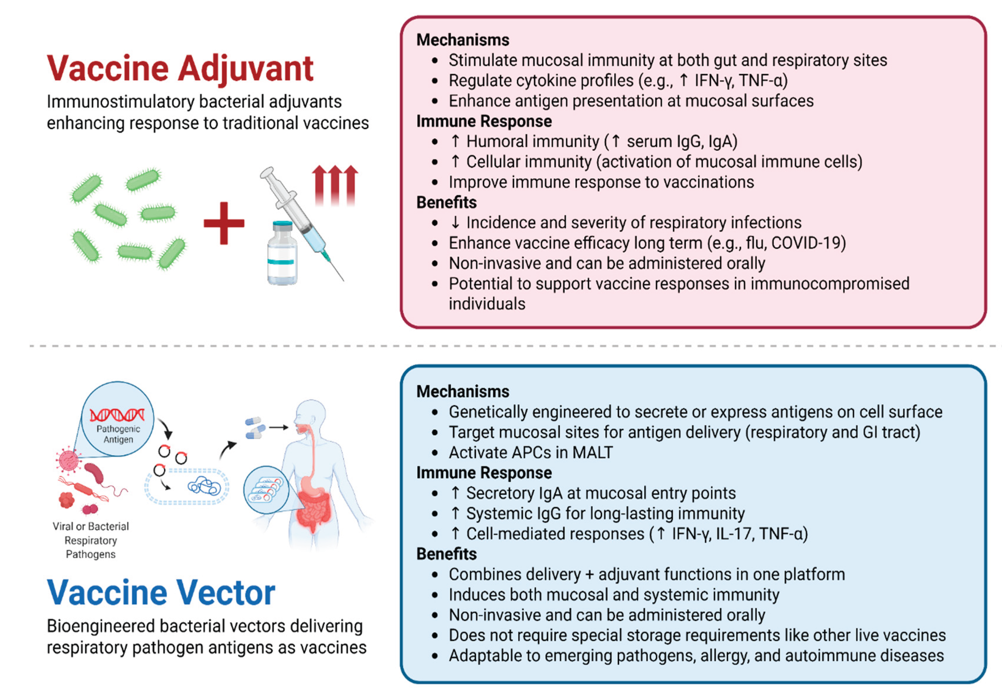 Preprints 169089 g002
