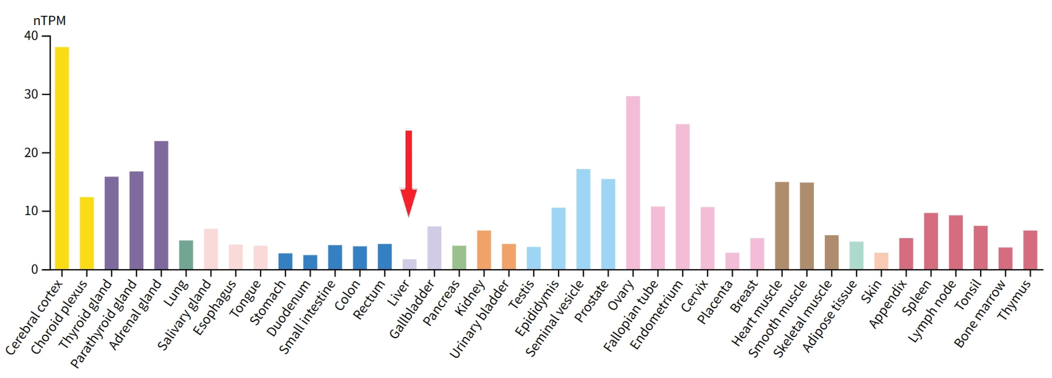 Preprints 169217 g001