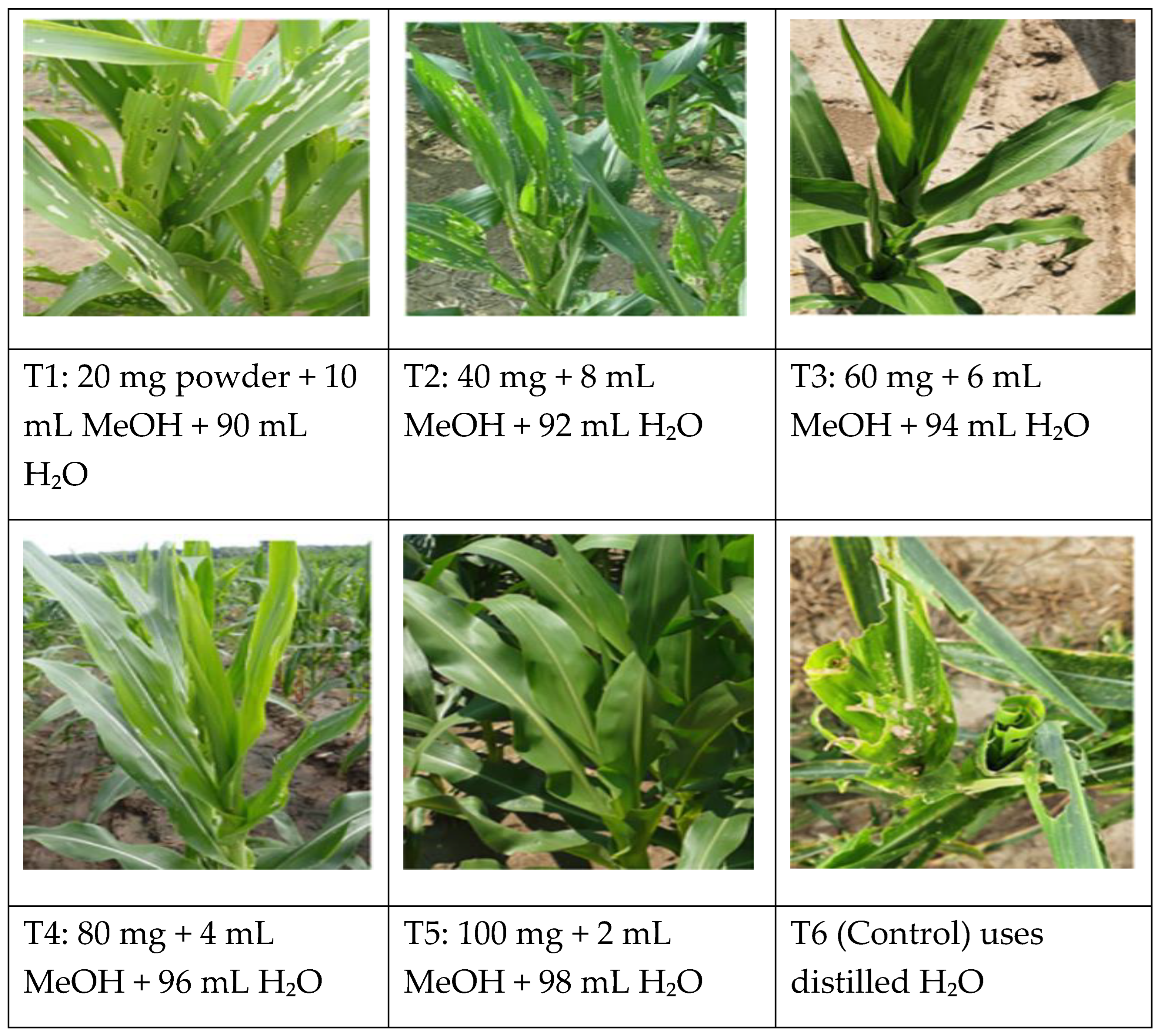 Preprints 185910 g010