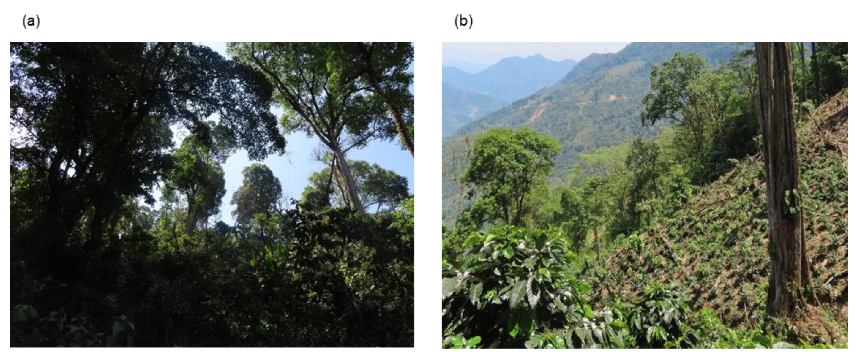 Preprints 178173 g001