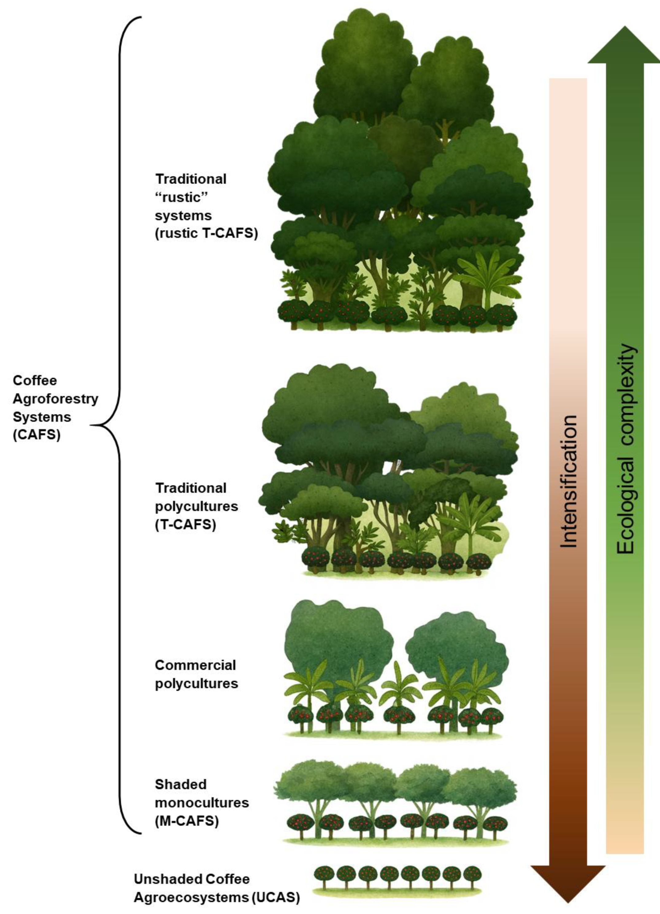 Preprints 178173 g002