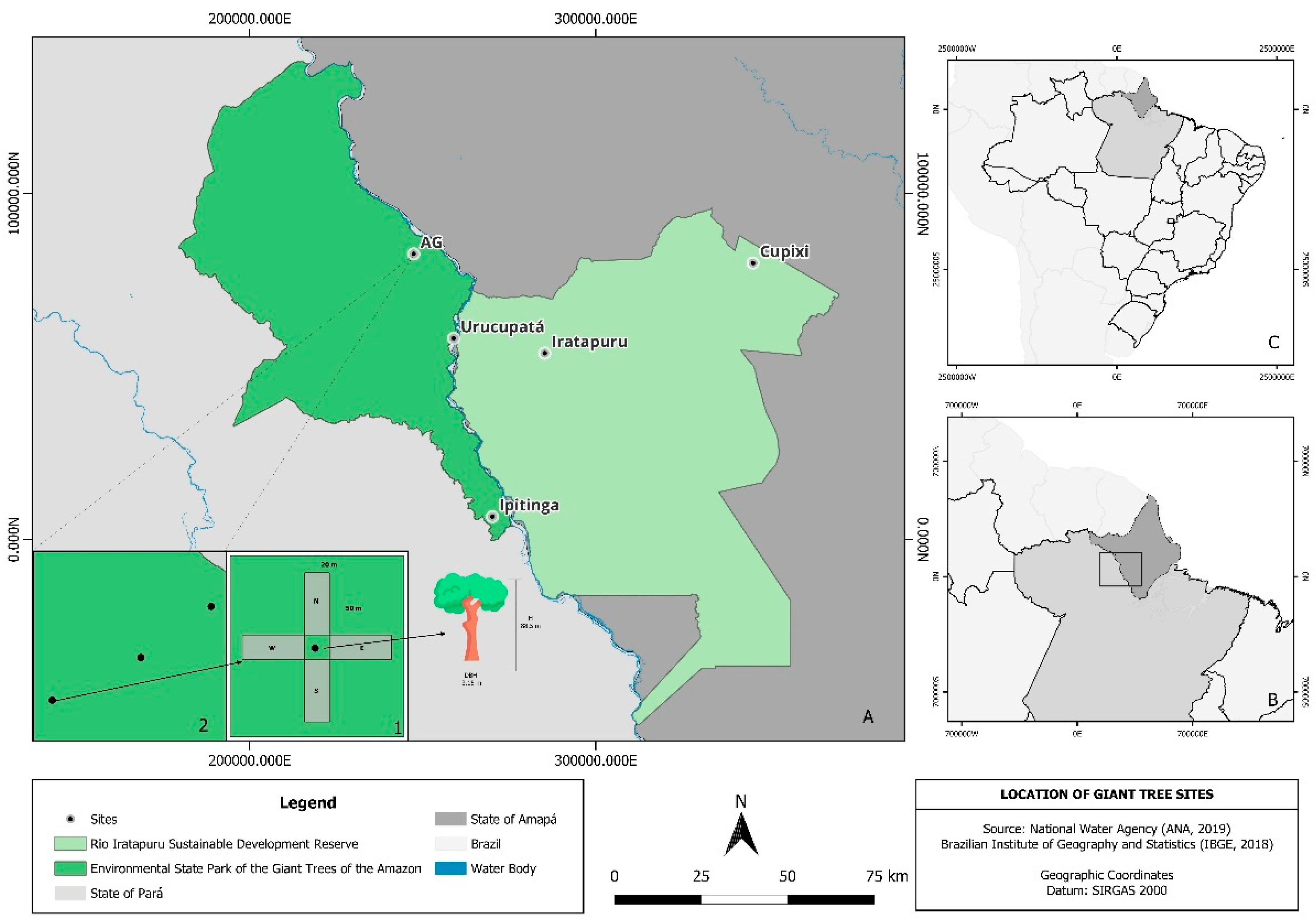 Preprints 185239 g001