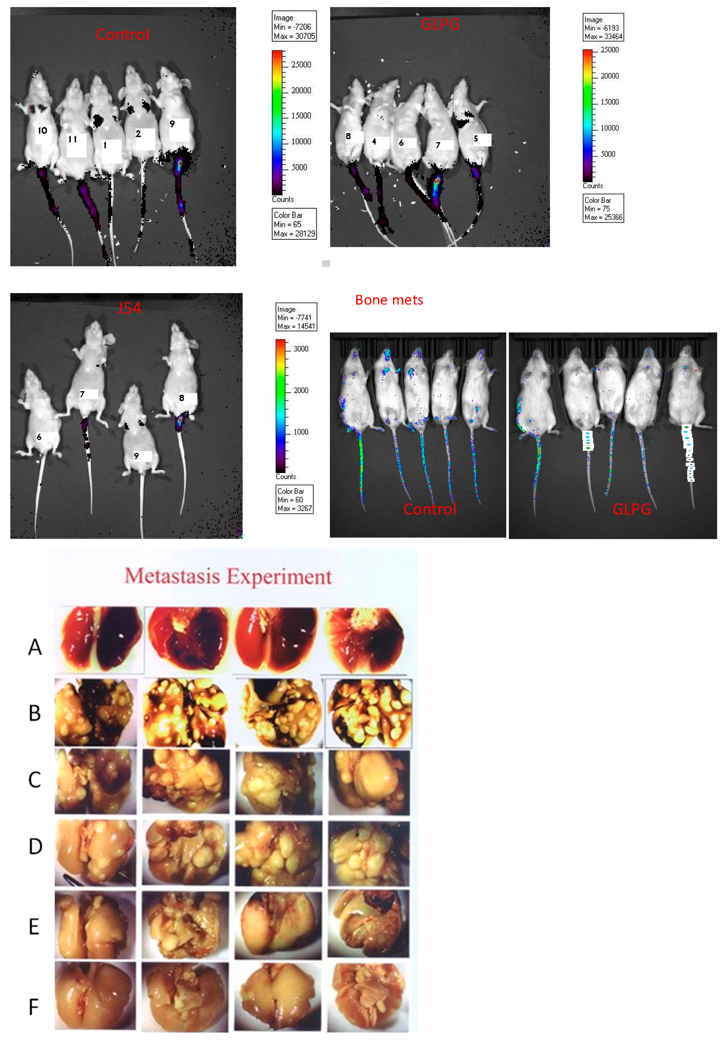 Preprints 151138 g003