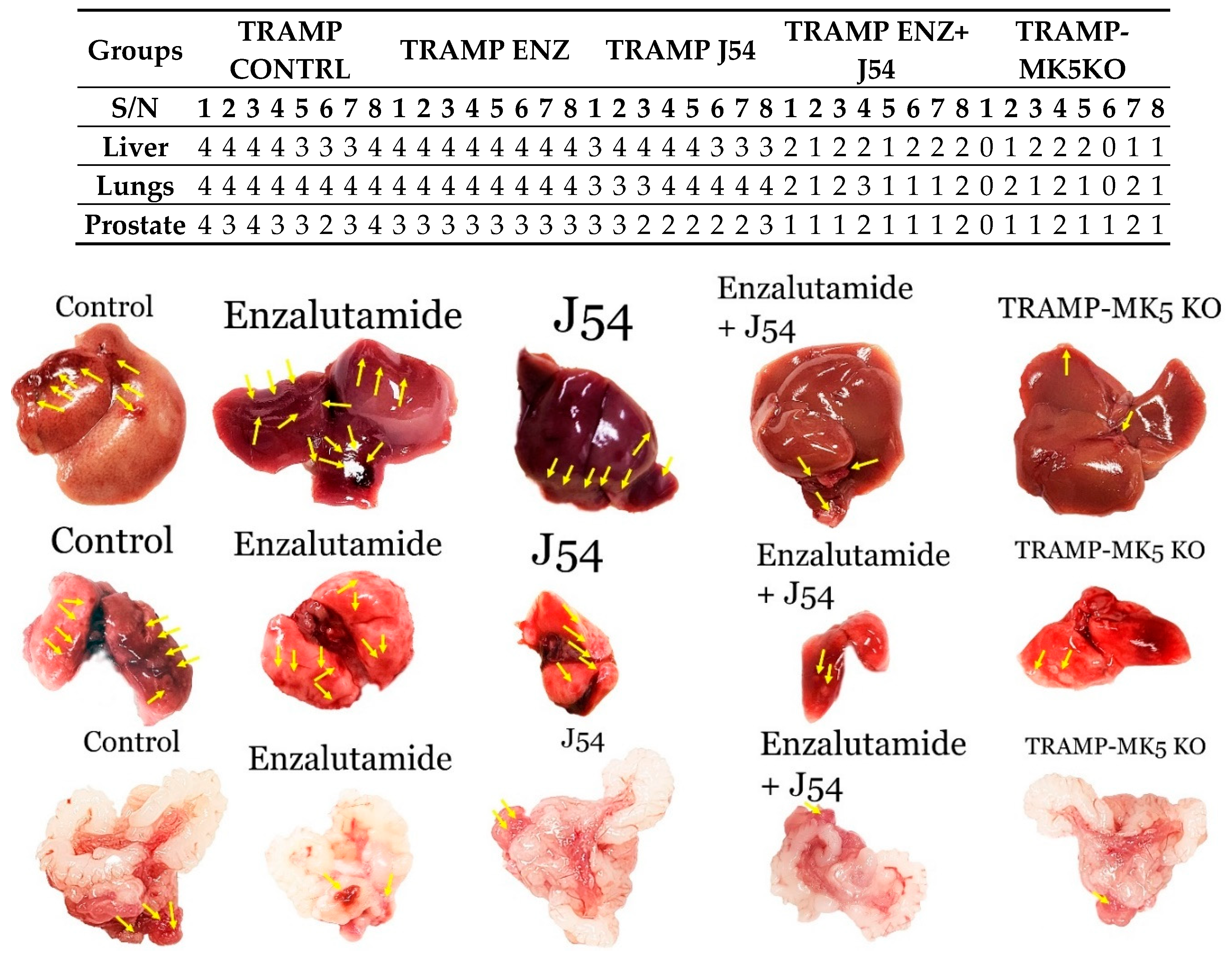Preprints 151138 g004