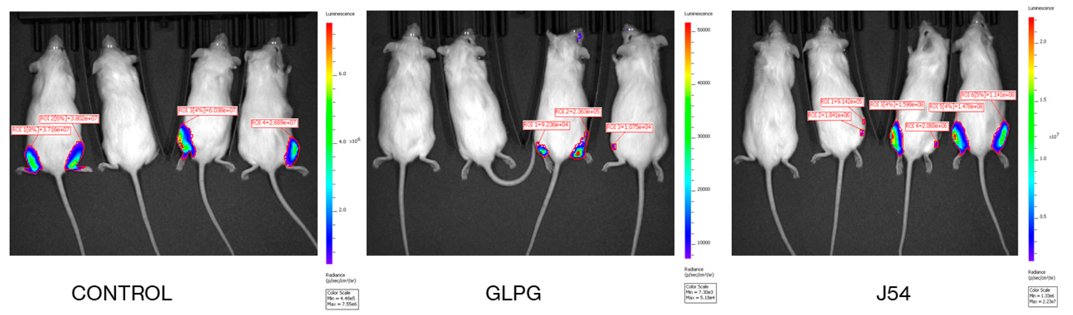 Preprints 151138 g007