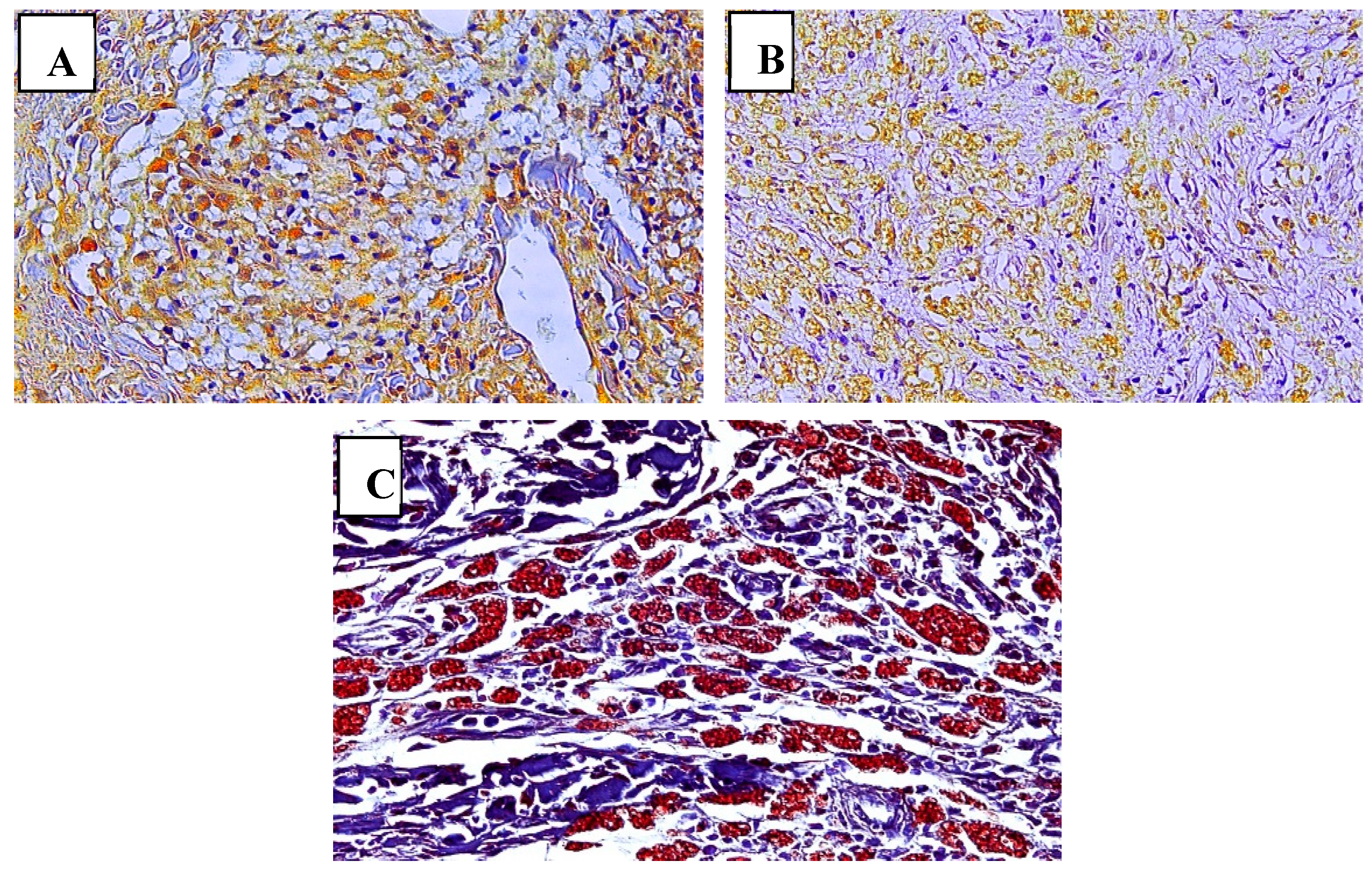 Preprints 67814 g001