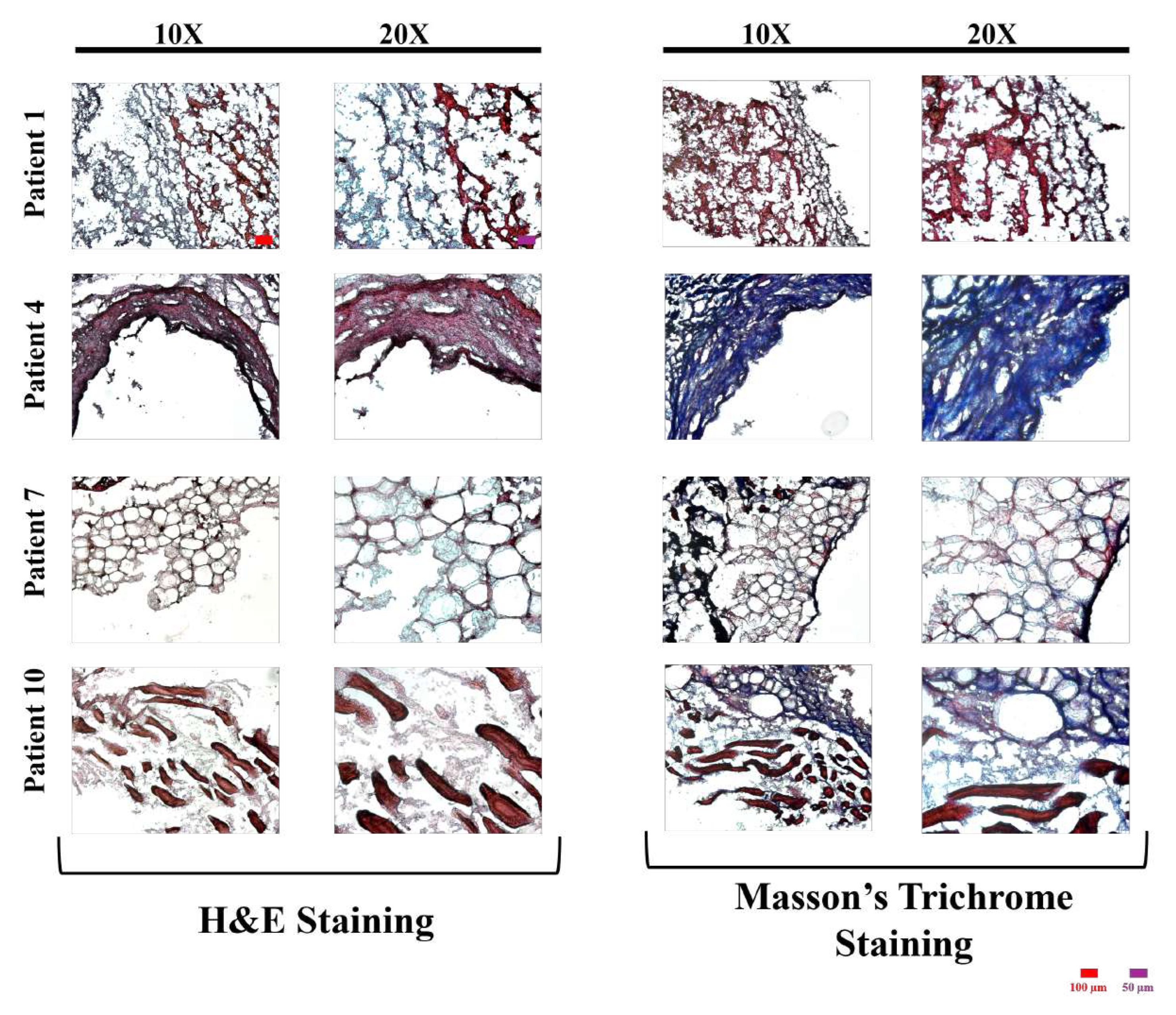 Preprints 179119 g001