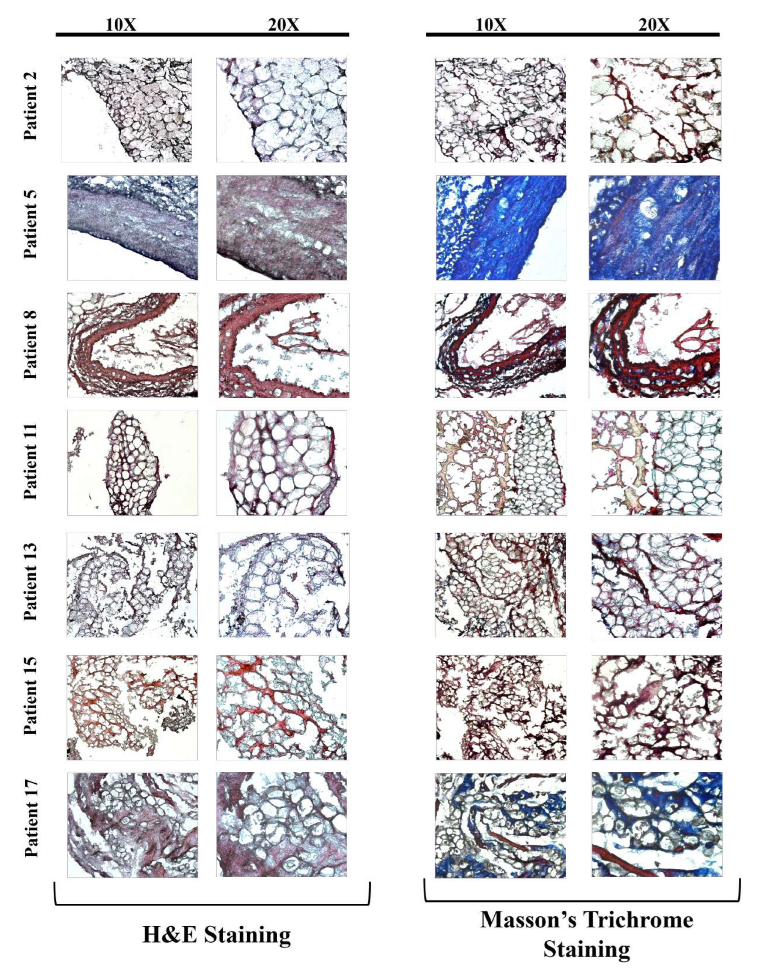 Preprints 179119 g002