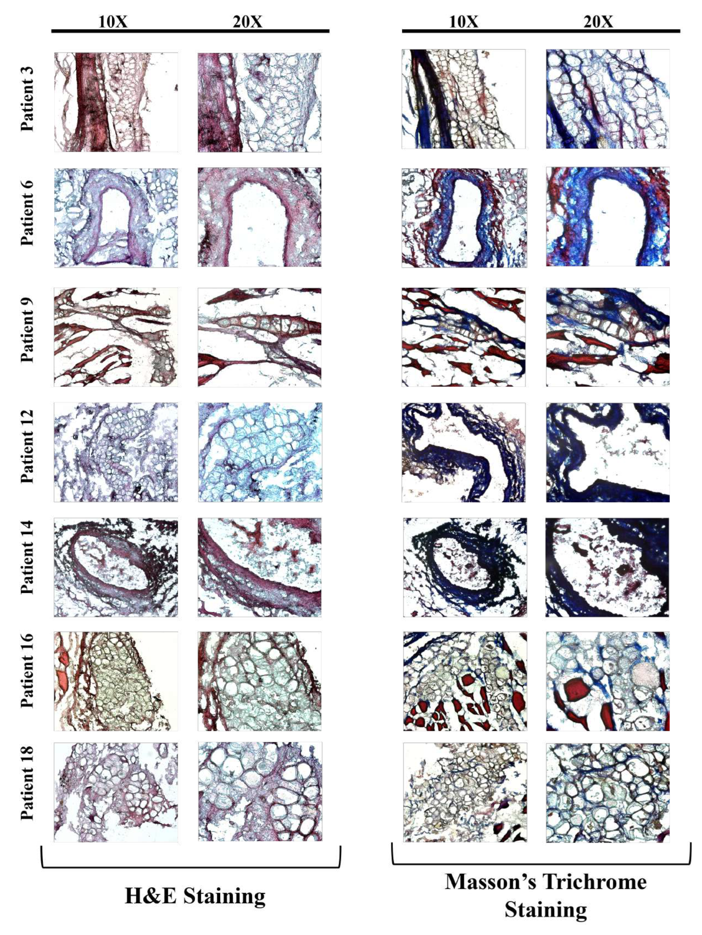 Preprints 179119 g003