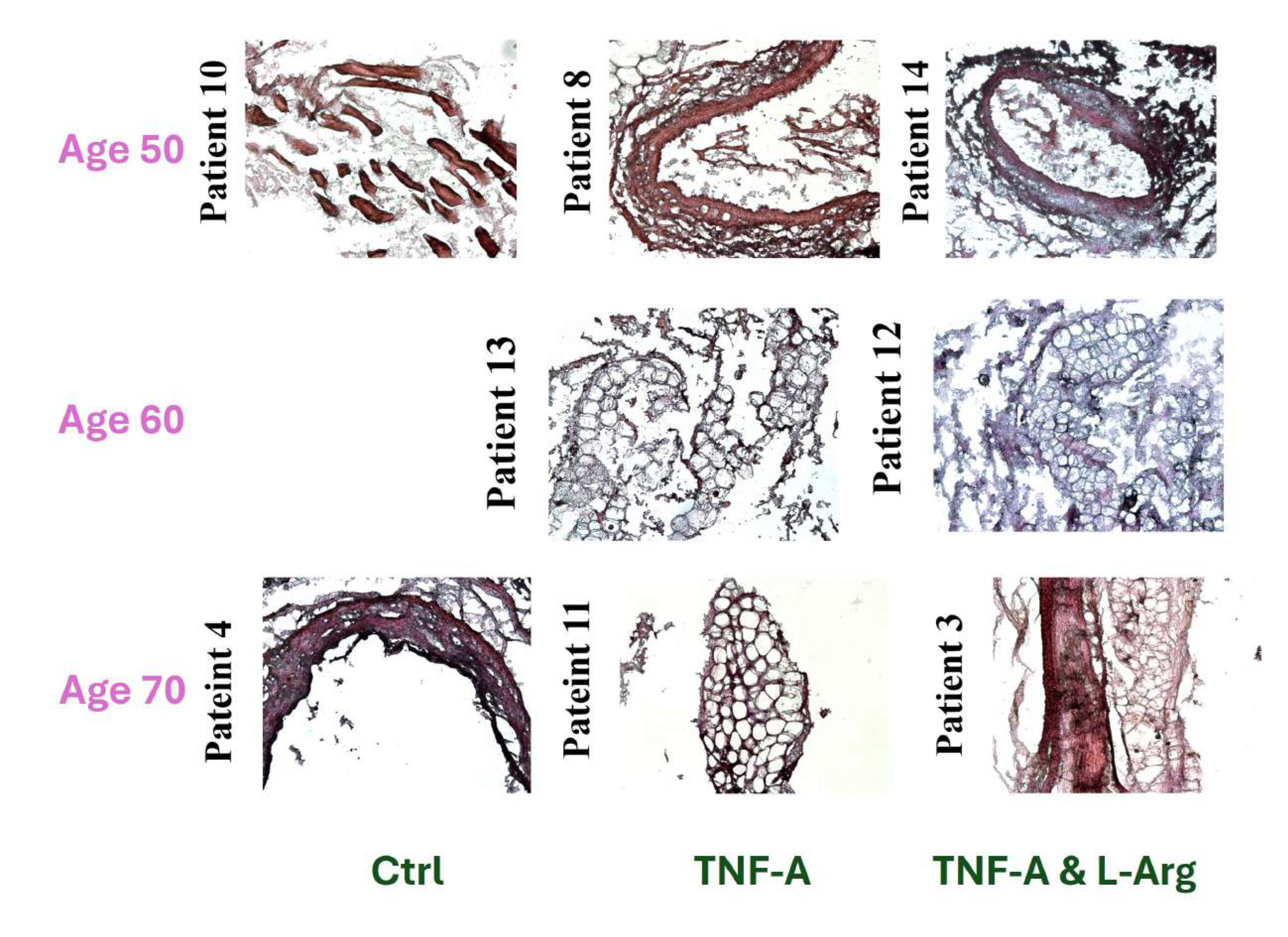 Preprints 179119 g004