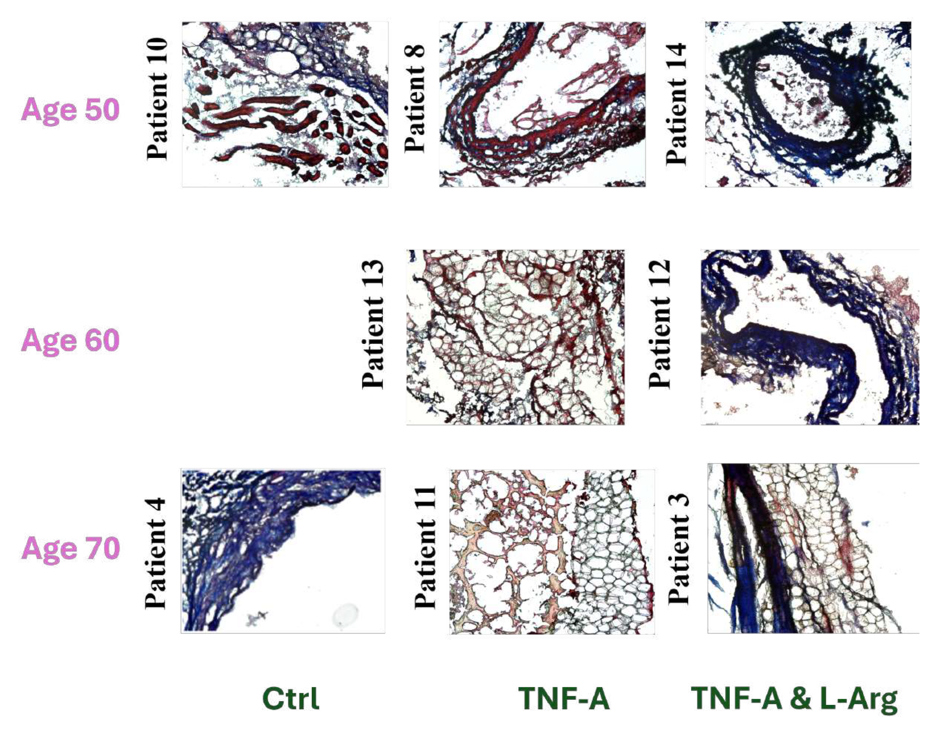 Preprints 179119 g005