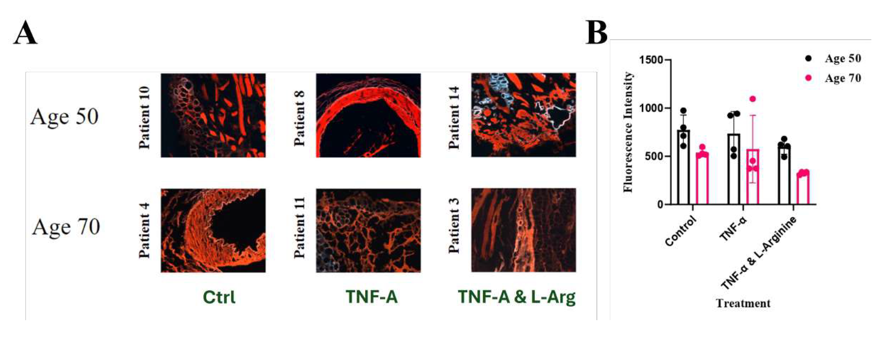 Preprints 179119 g006
