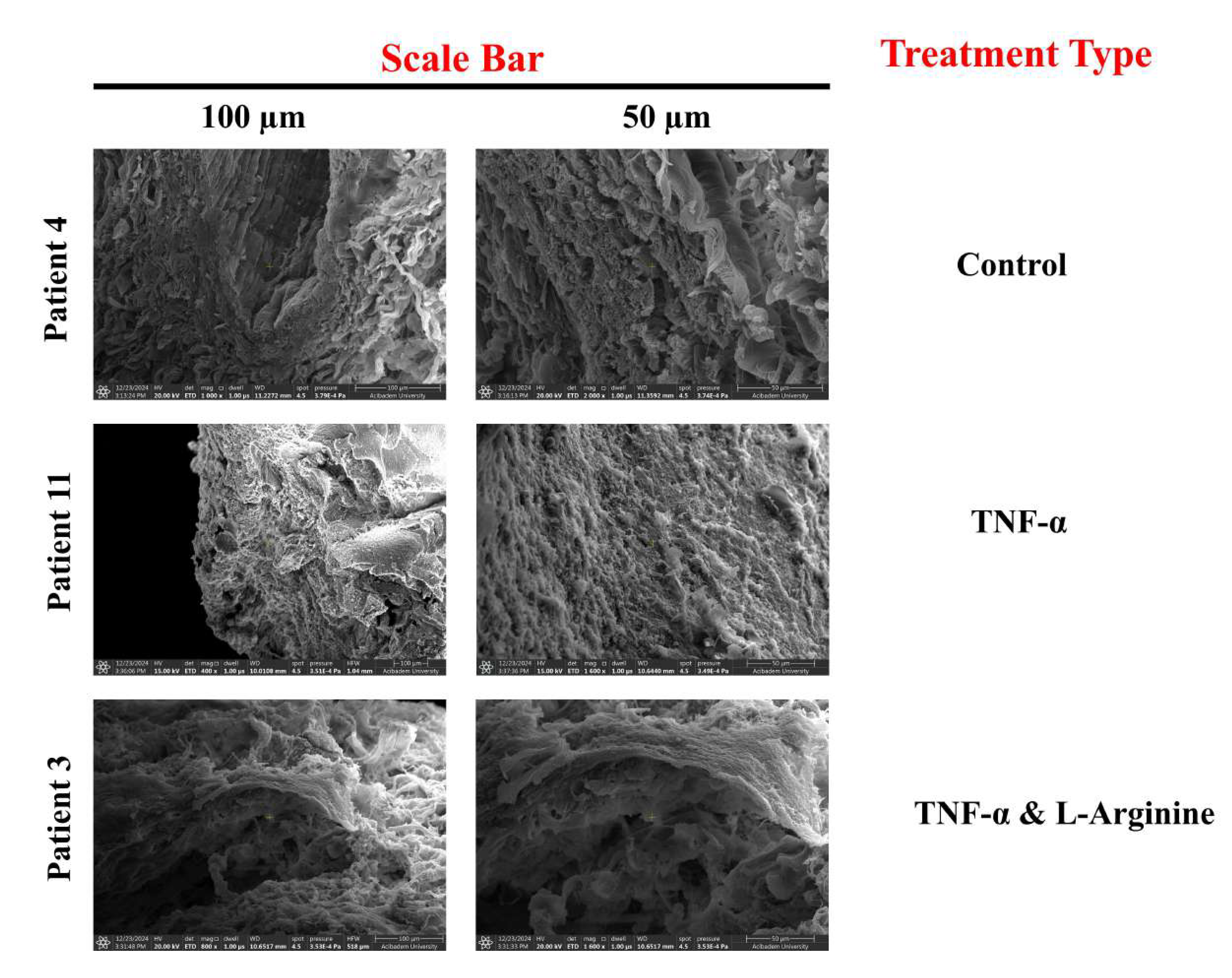 Preprints 179119 g008