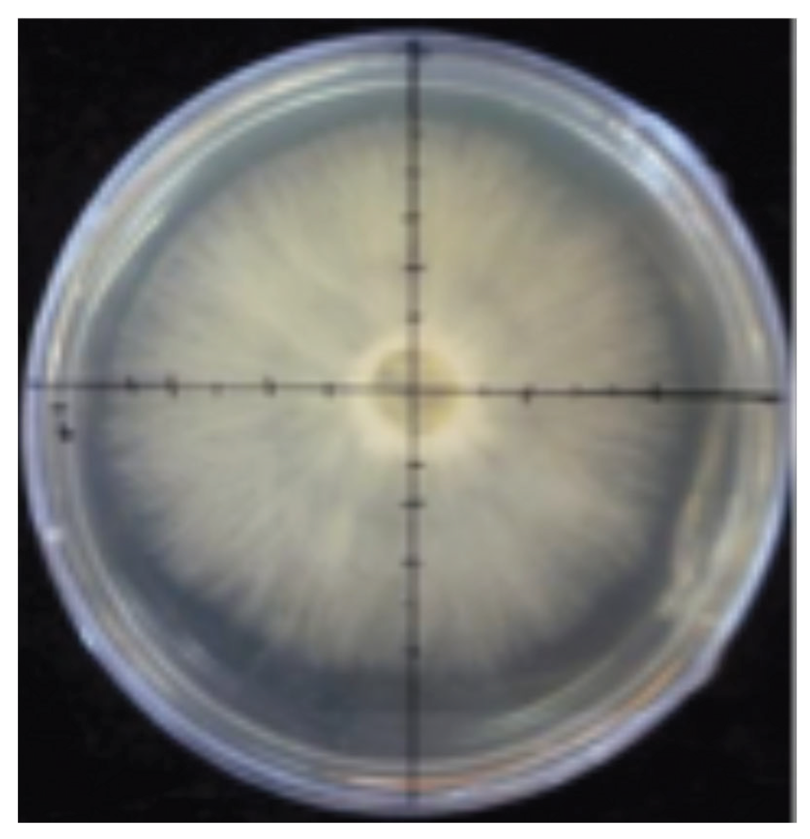 Preprints 190144 g002