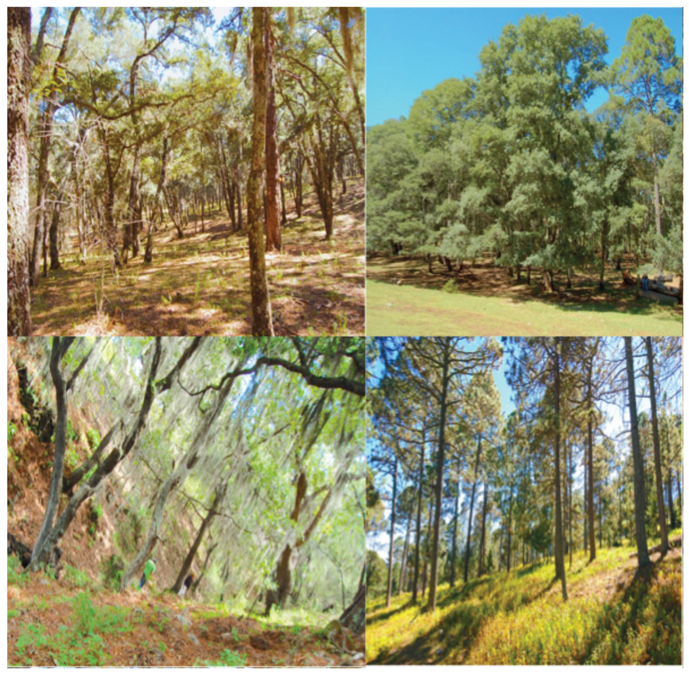 Preprints 190144 g003