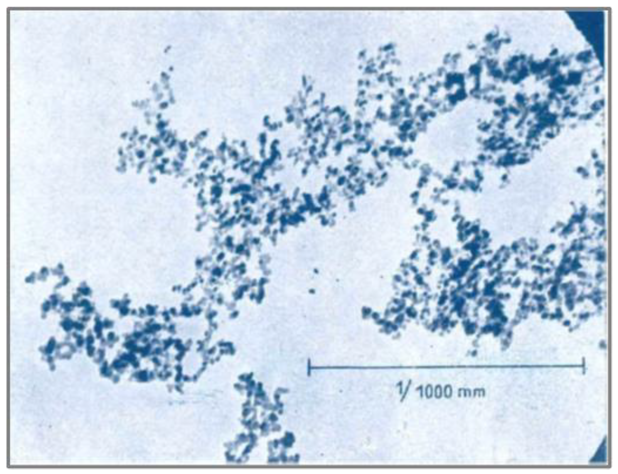 Preprints 188870 g006