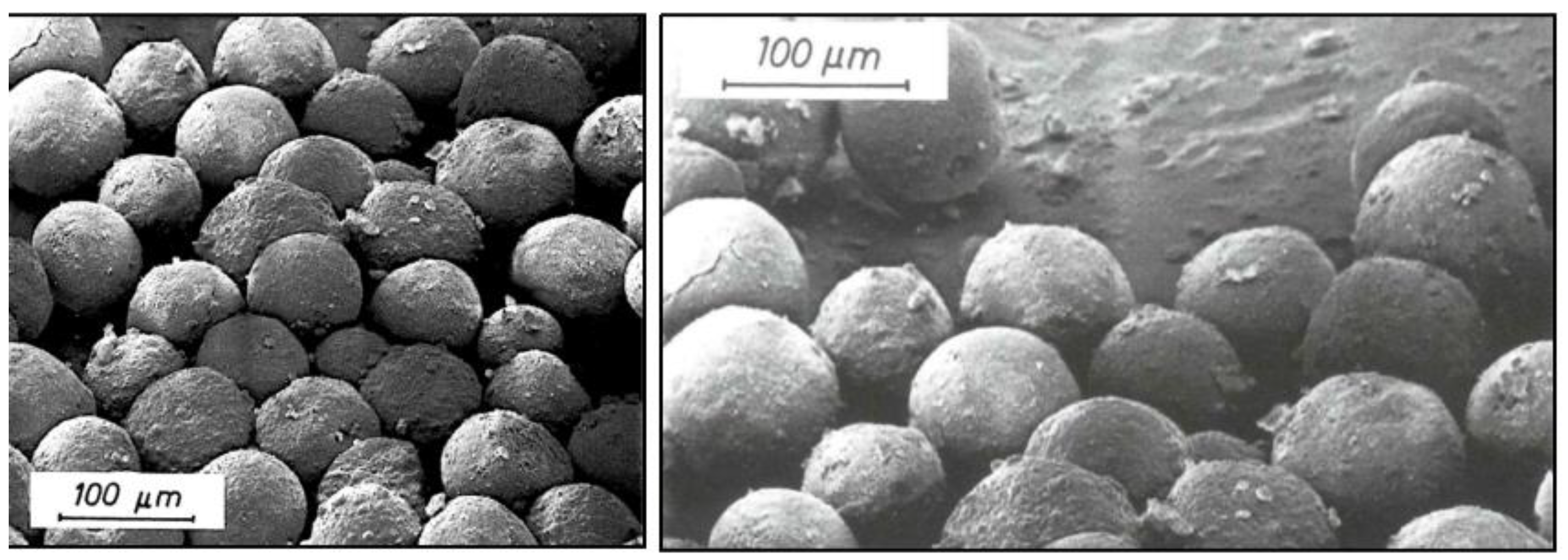 Preprints 188870 g010