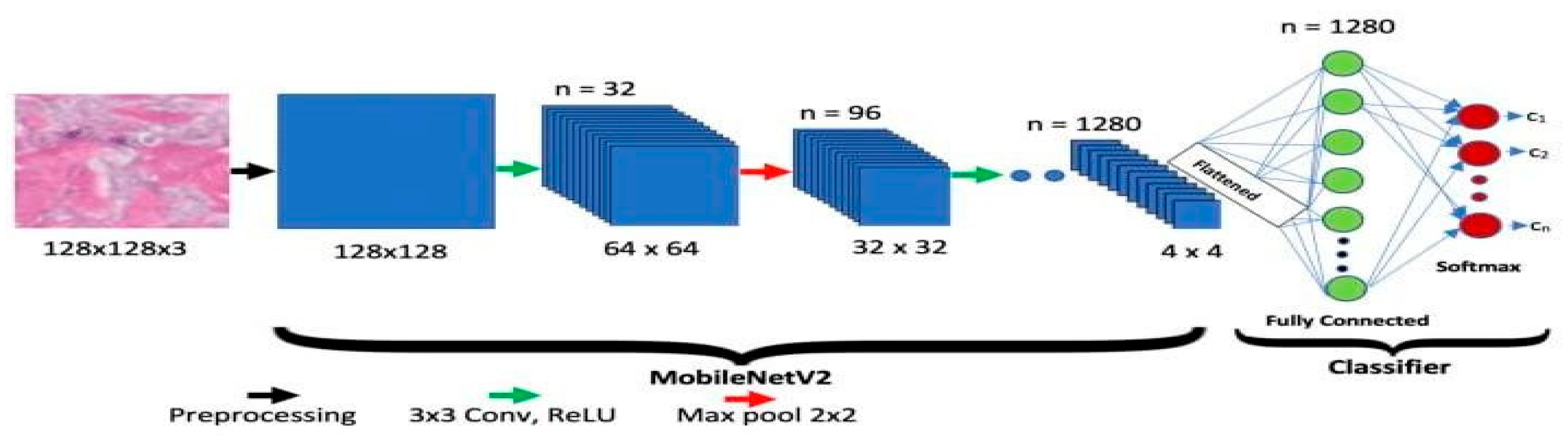 Preprints 164637 g003