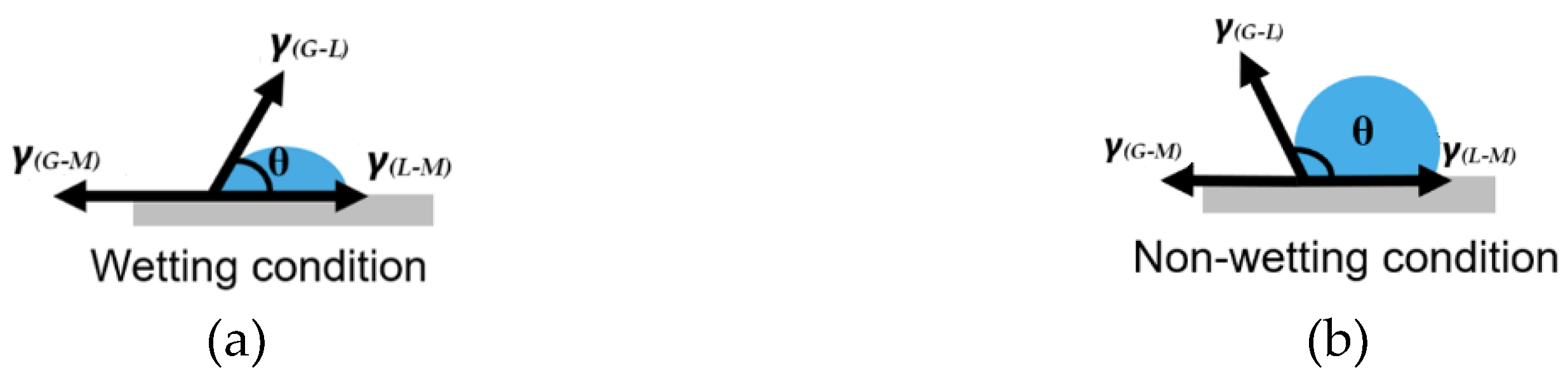 Preprints 147997 g002