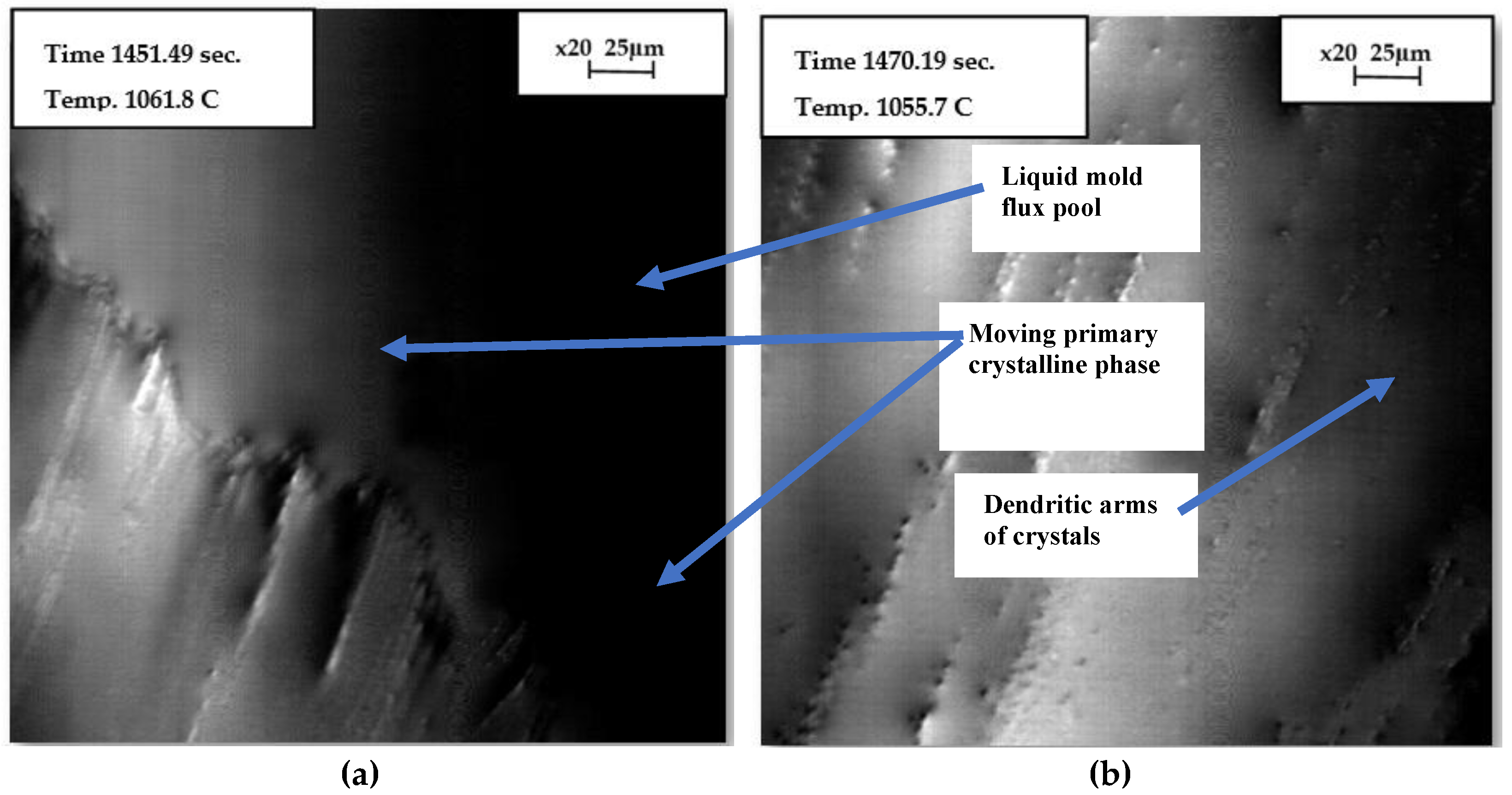 Preprints 147997 g007