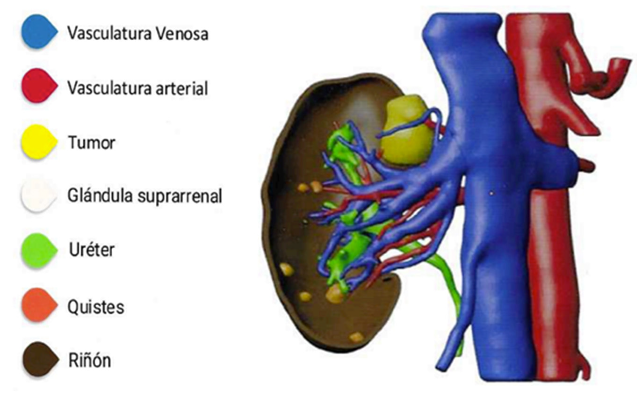 Preprints 152816 g001