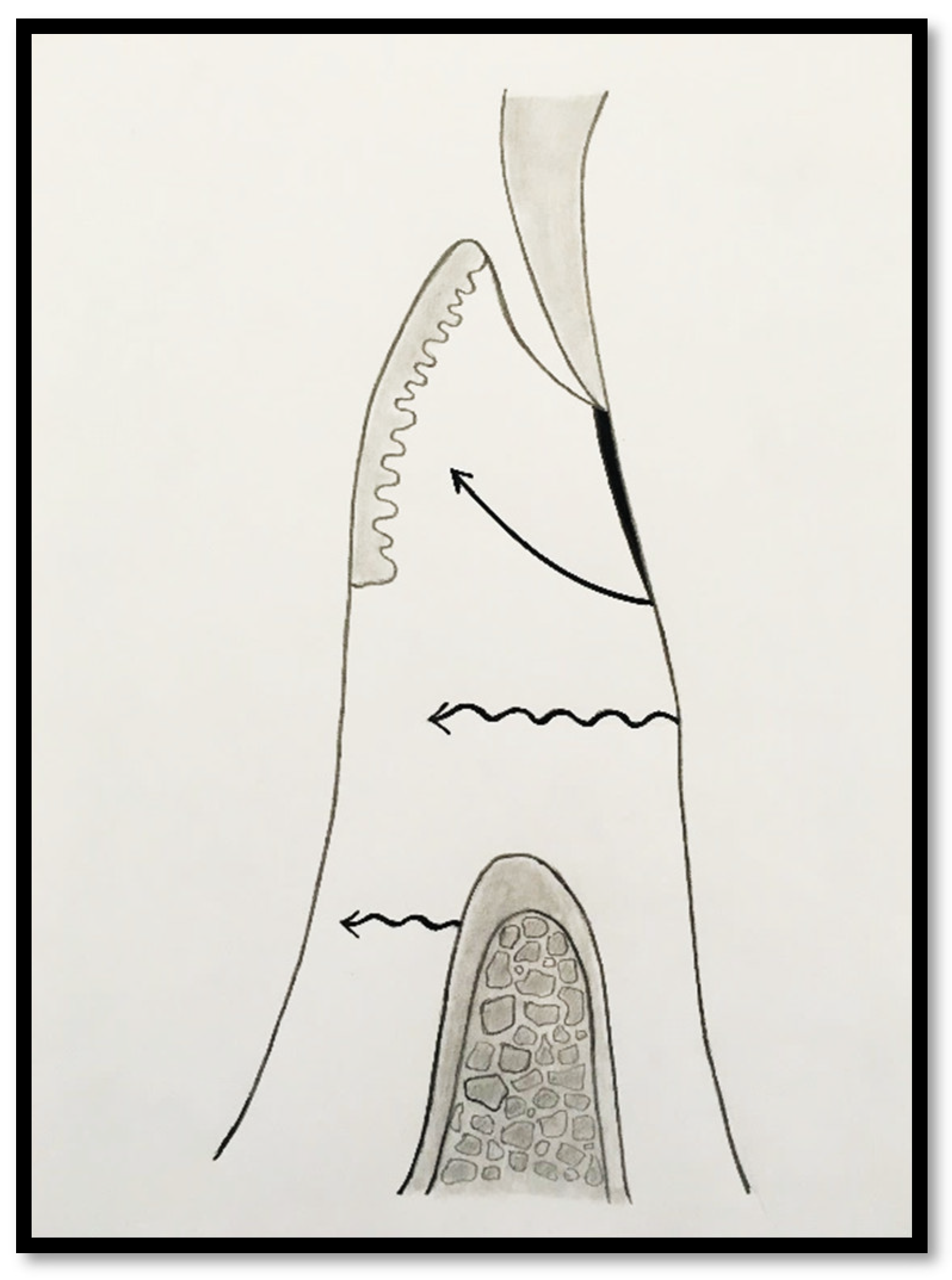 Preprints 186935 g001