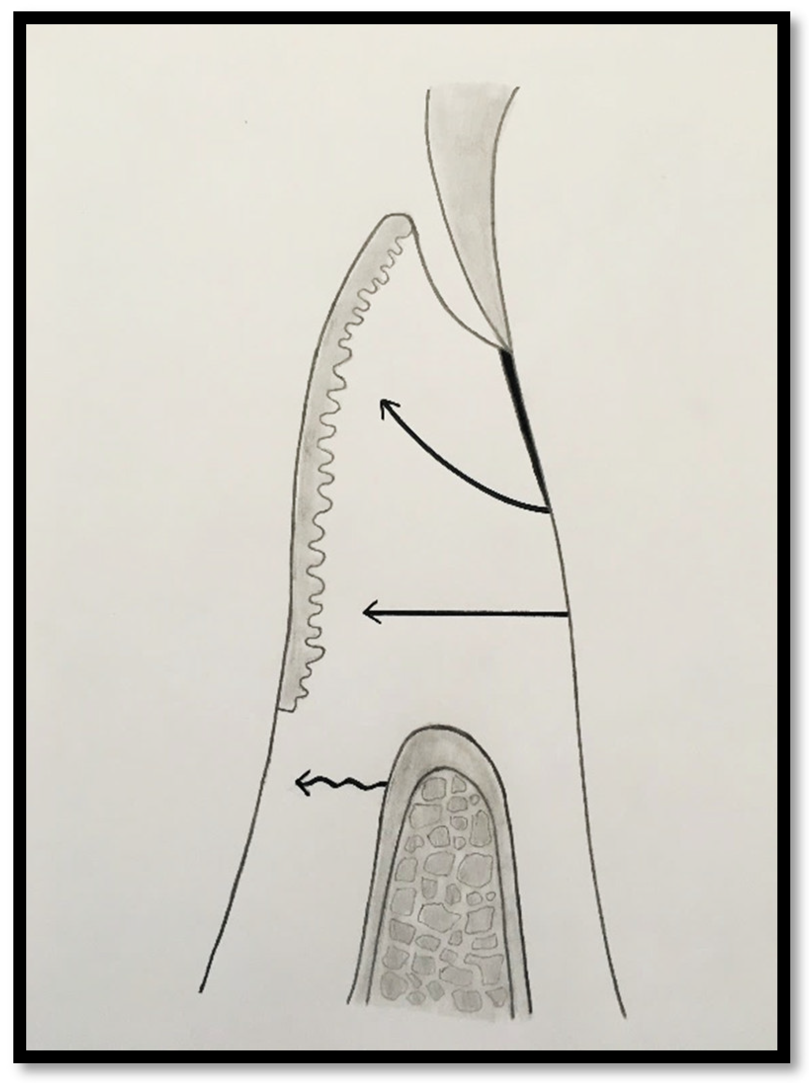 Preprints 186935 g002