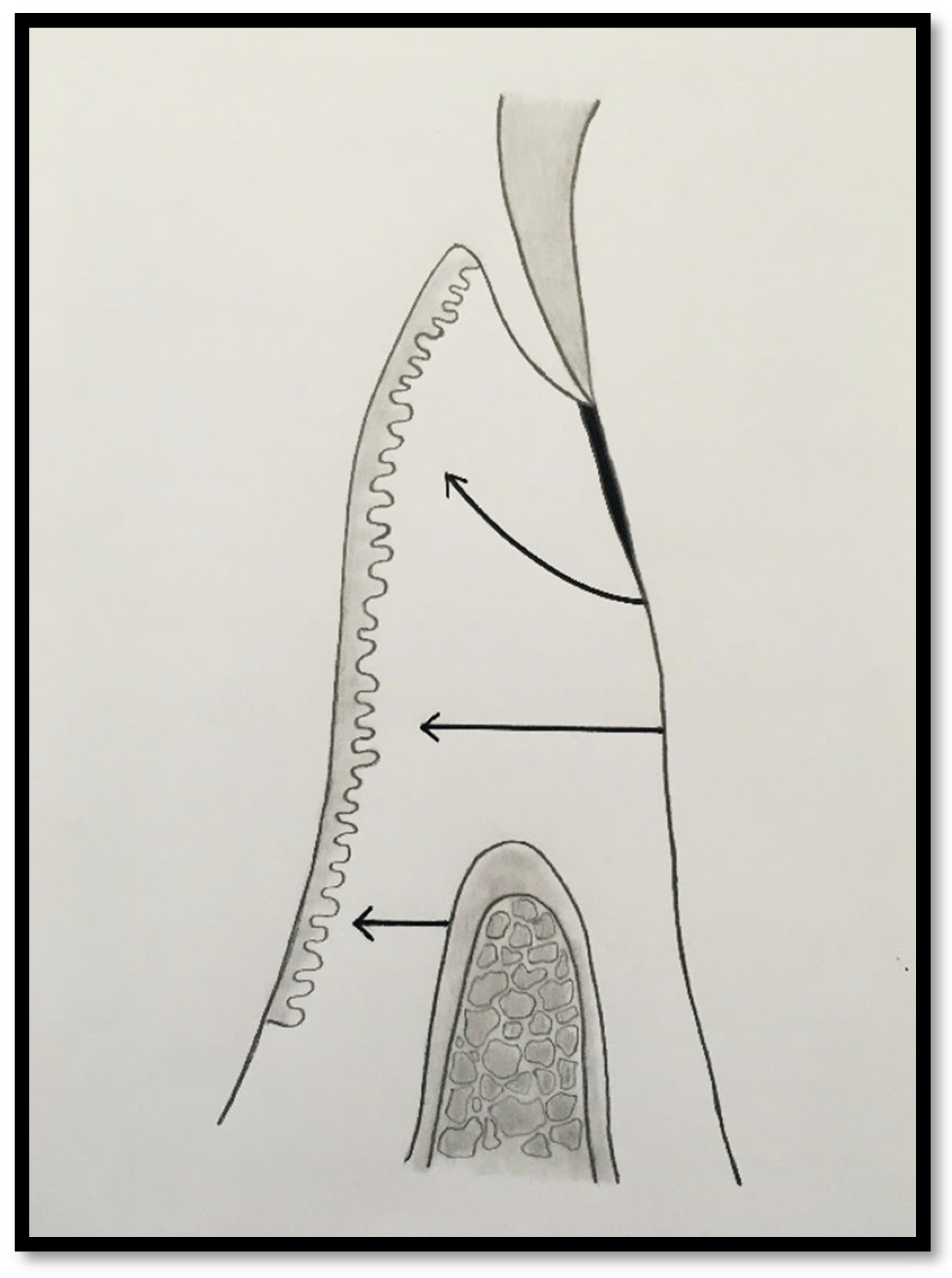 Preprints 186935 g003