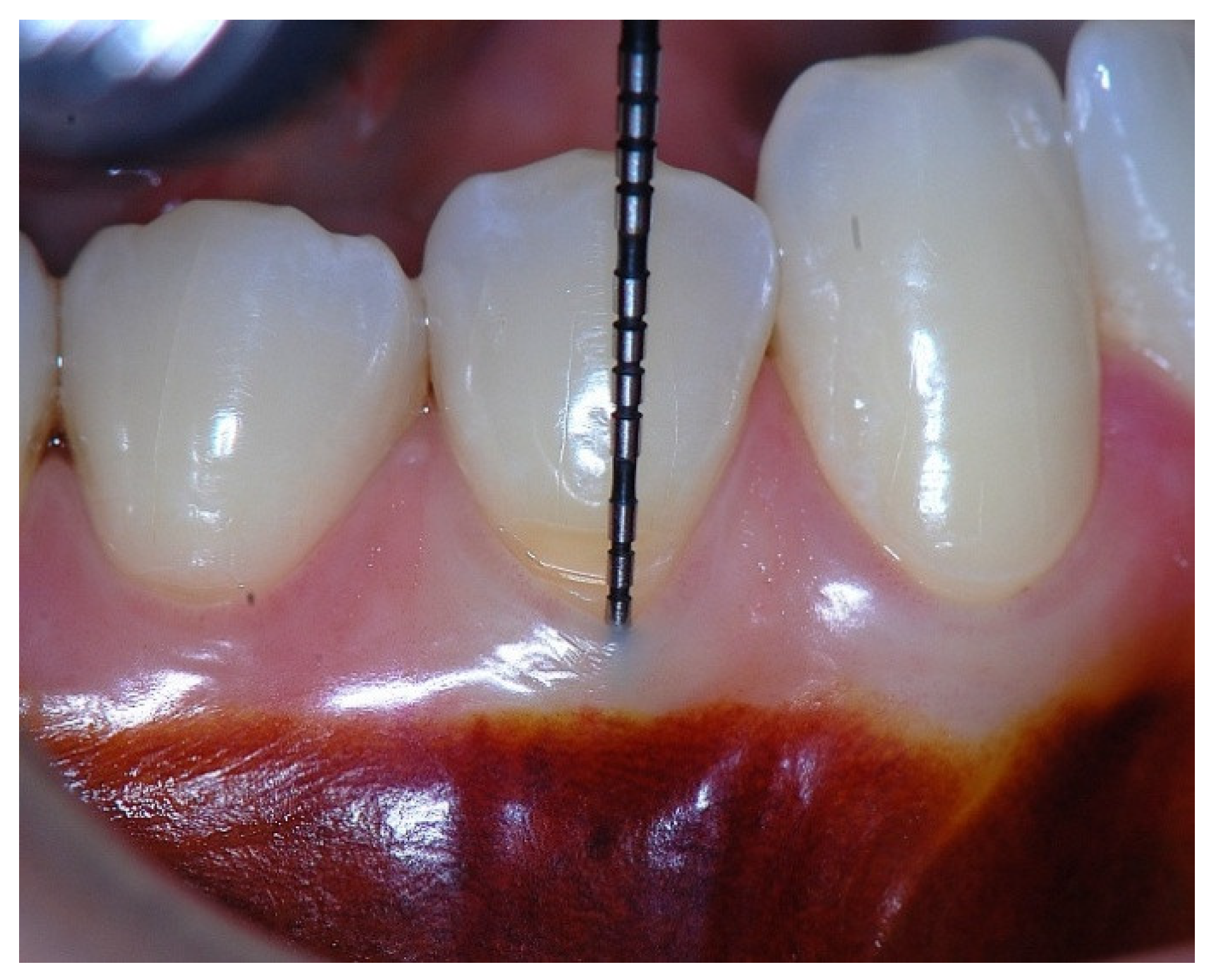 Preprints 186935 g009