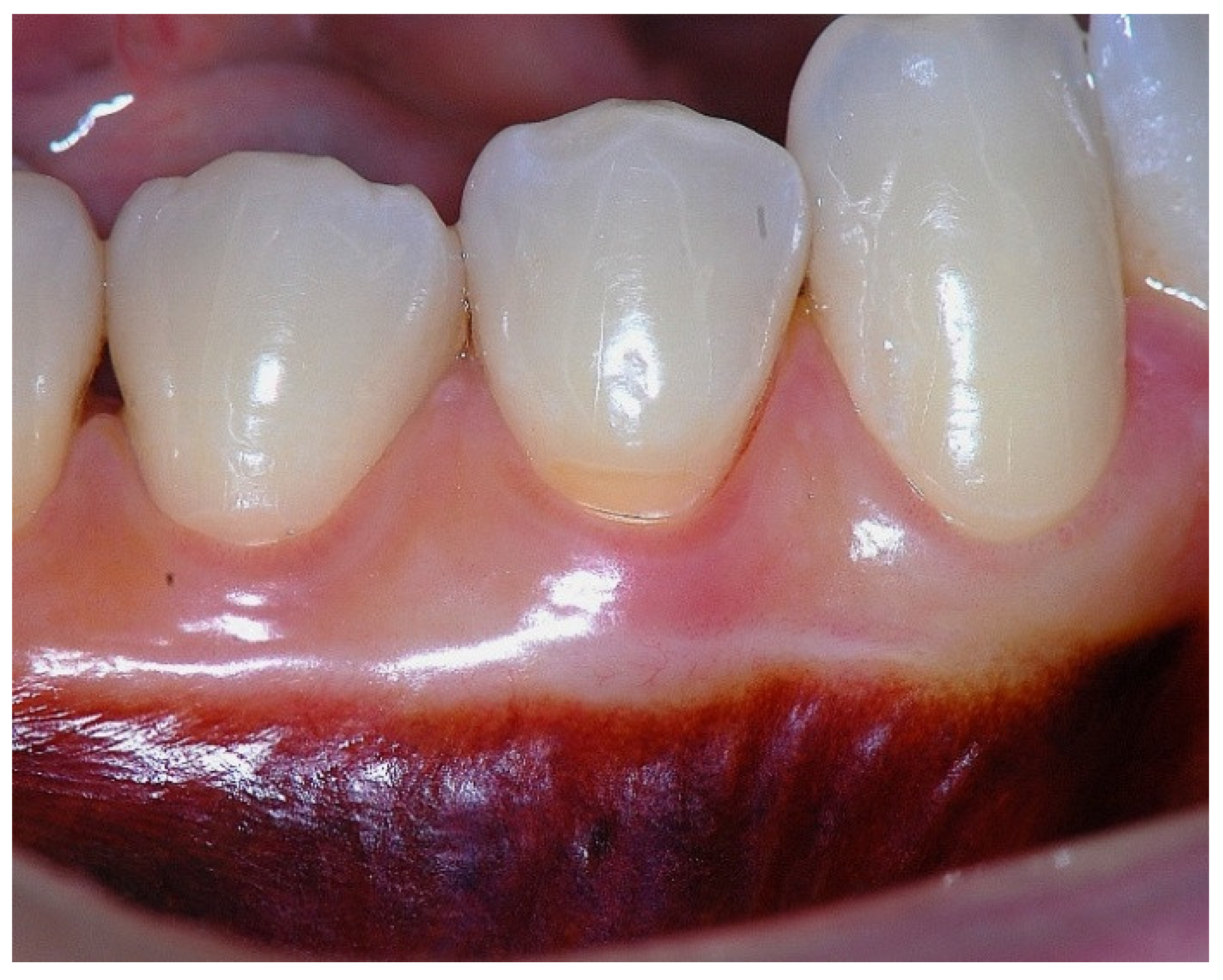 Preprints 186935 g010