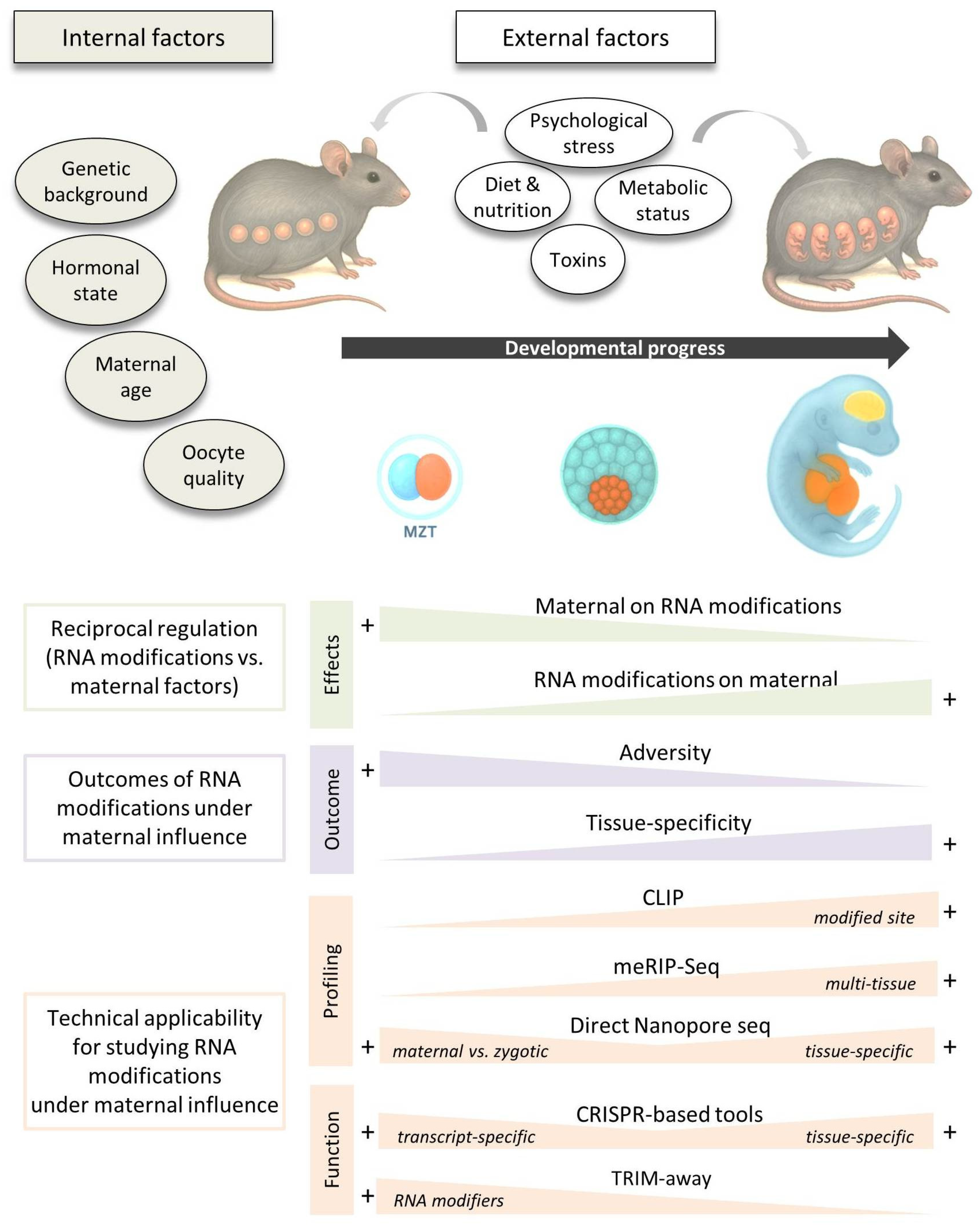 Preprints 173889 g001