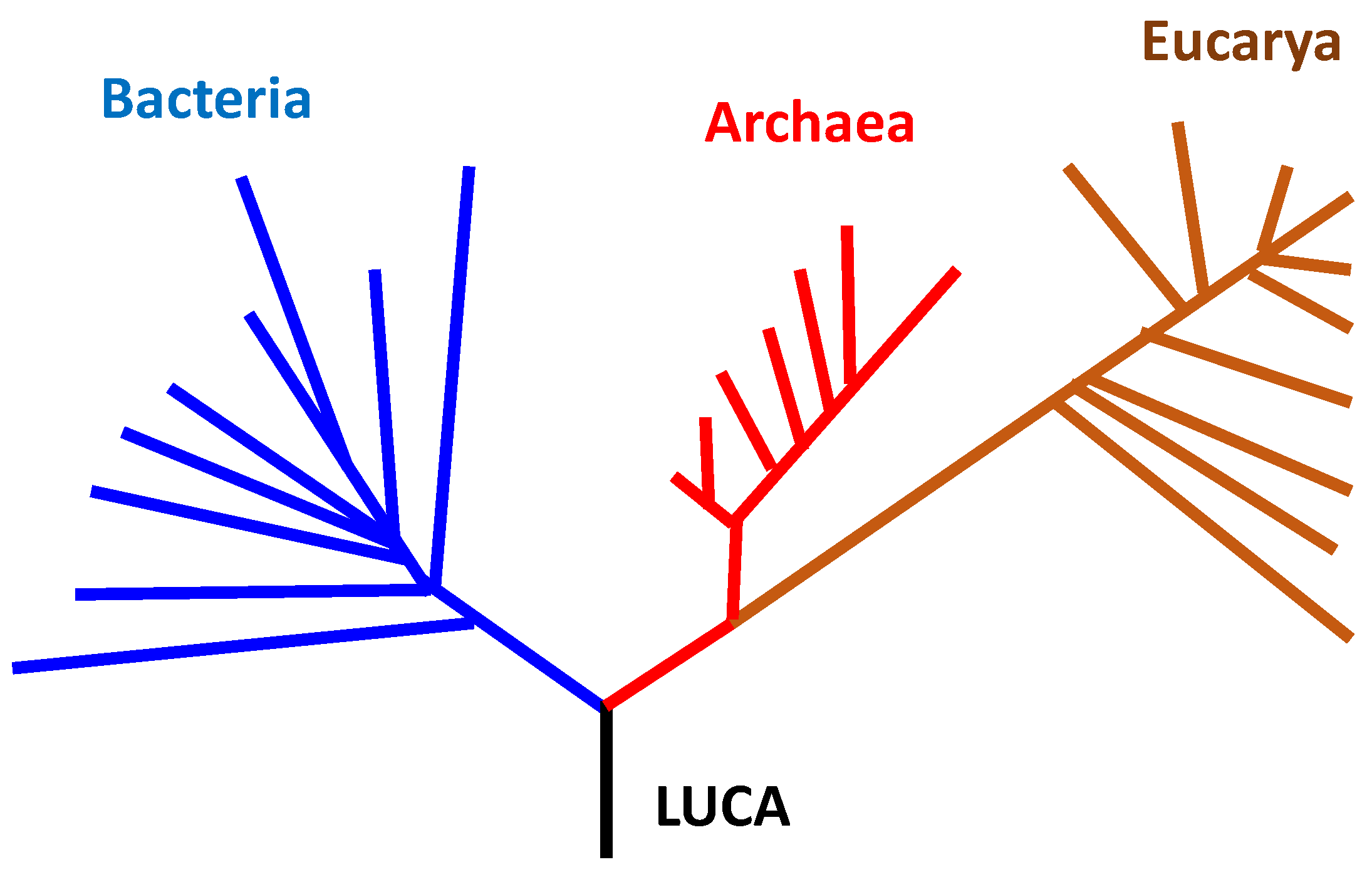 Preprints 167776 g001