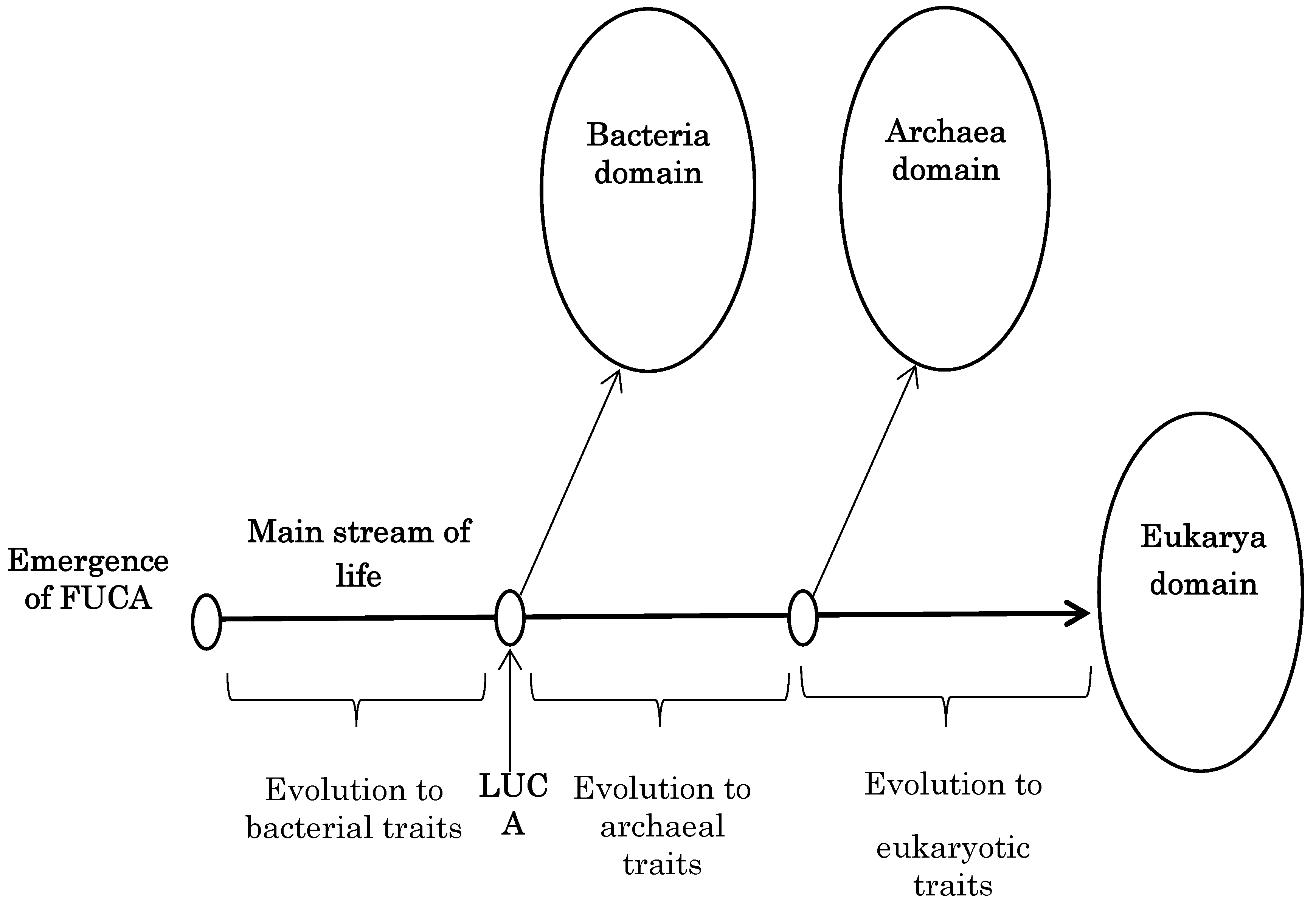 Preprints 167776 g004
