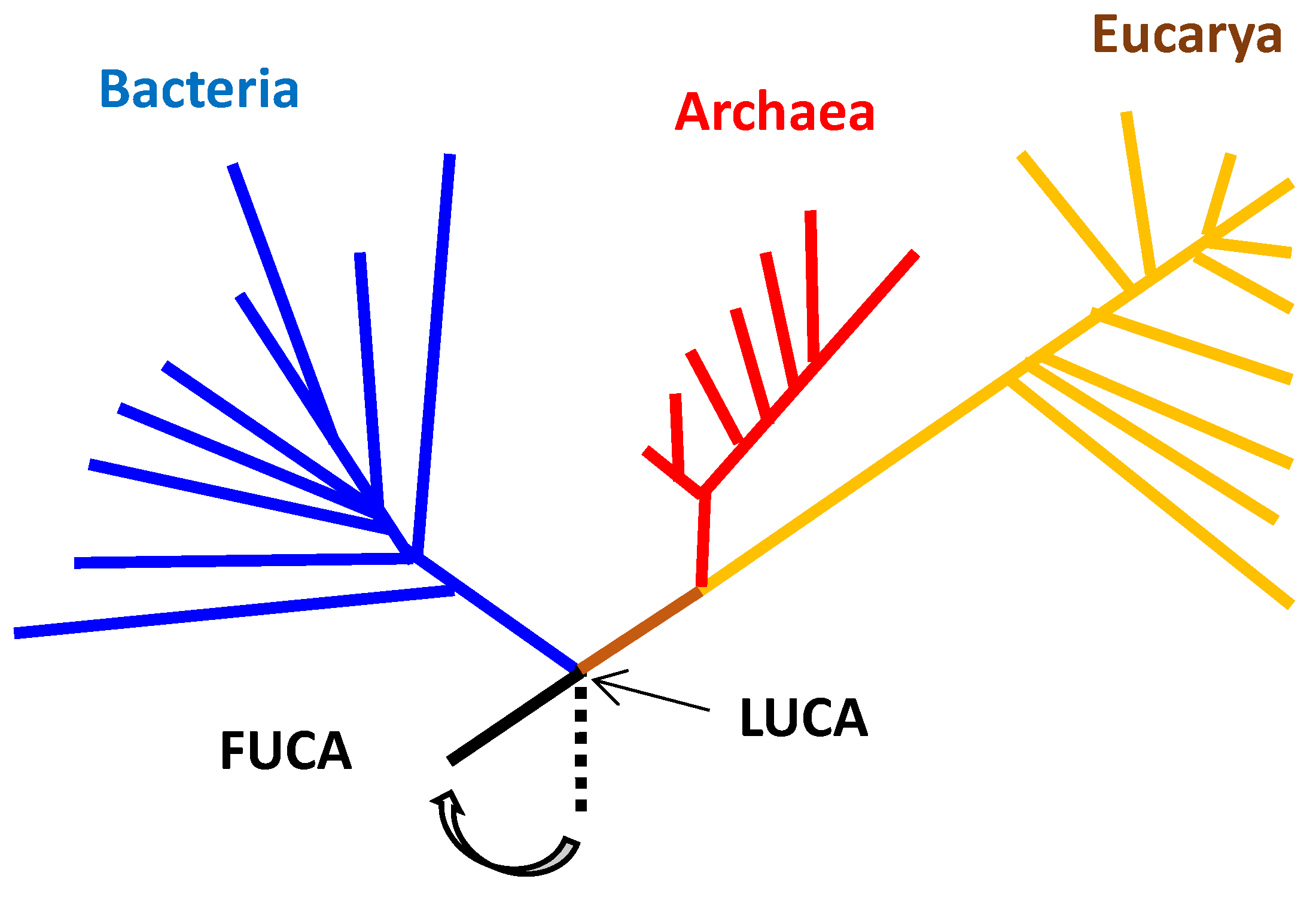 Preprints 167776 g005