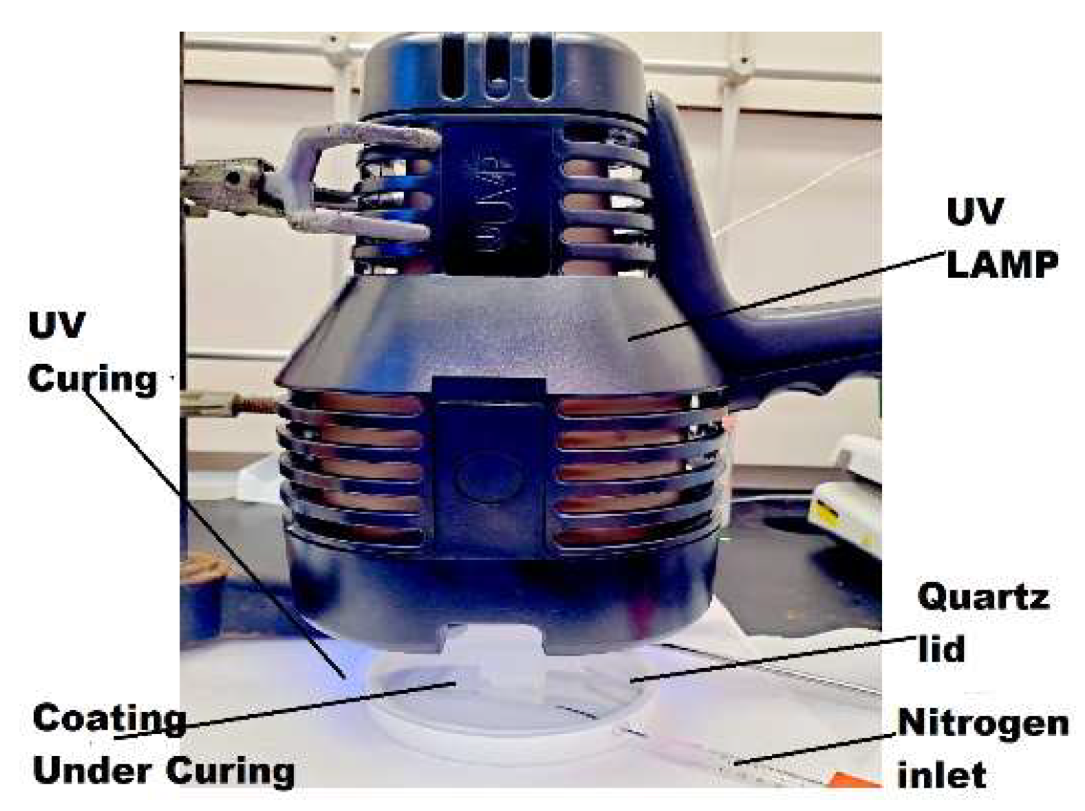 Preprints 143298 g009